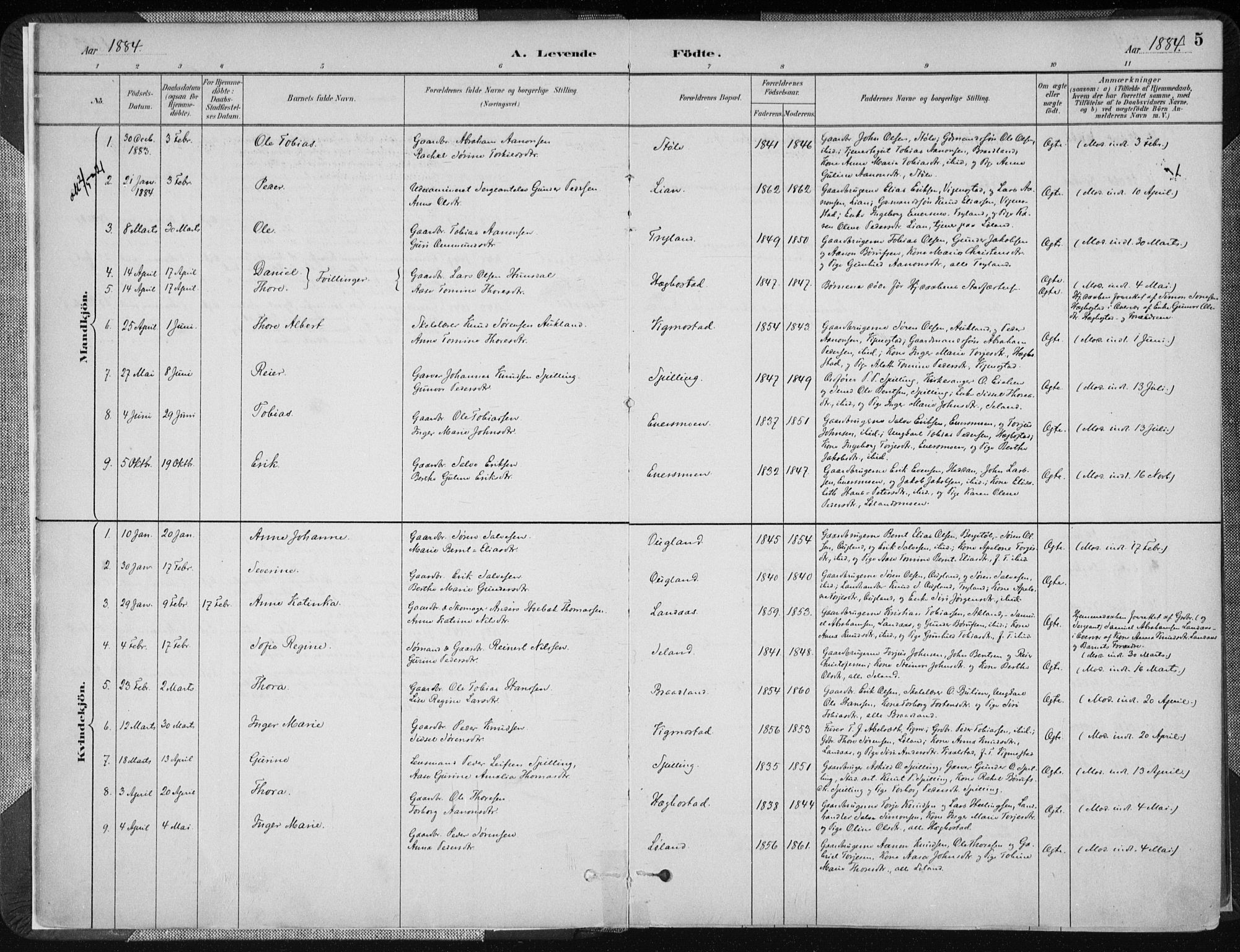Nord-Audnedal sokneprestkontor, SAK/1111-0032/F/Fa/Fab/L0003: Parish register (official) no. A 3, 1882-1900, p. 5
