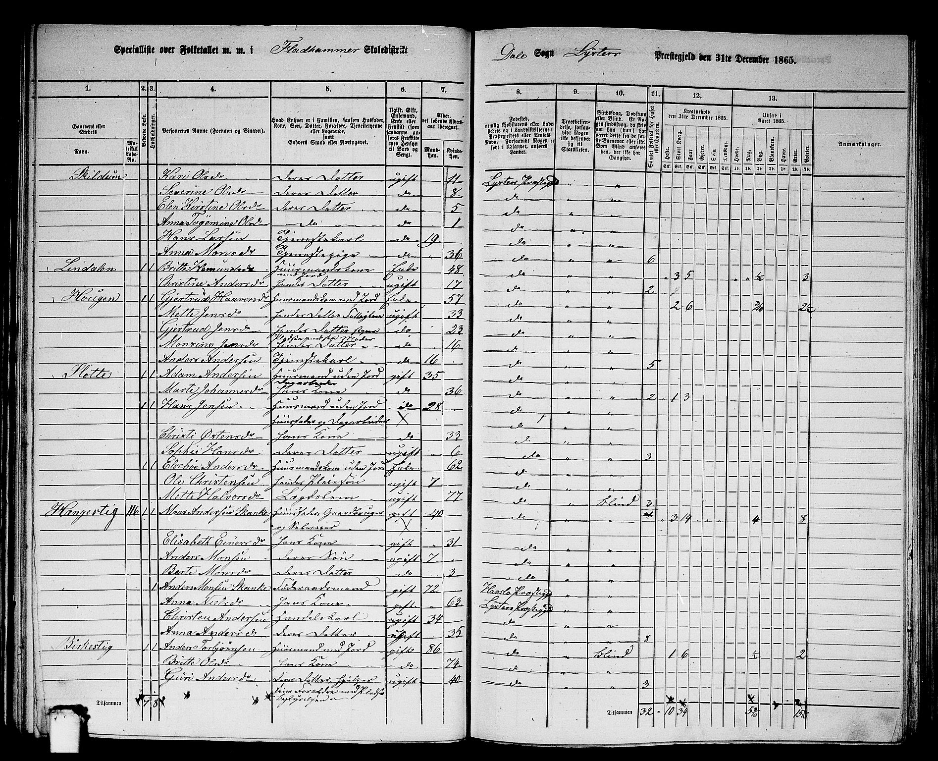 RA, 1865 census for Luster, 1865, p. 67