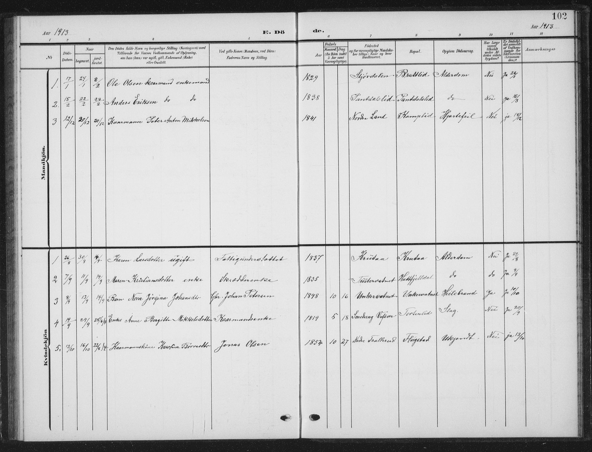 Ministerialprotokoller, klokkerbøker og fødselsregistre - Nordland, AV/SAT-A-1459/823/L0331: Parish register (copy) no. 823C03, 1905-1934, p. 102