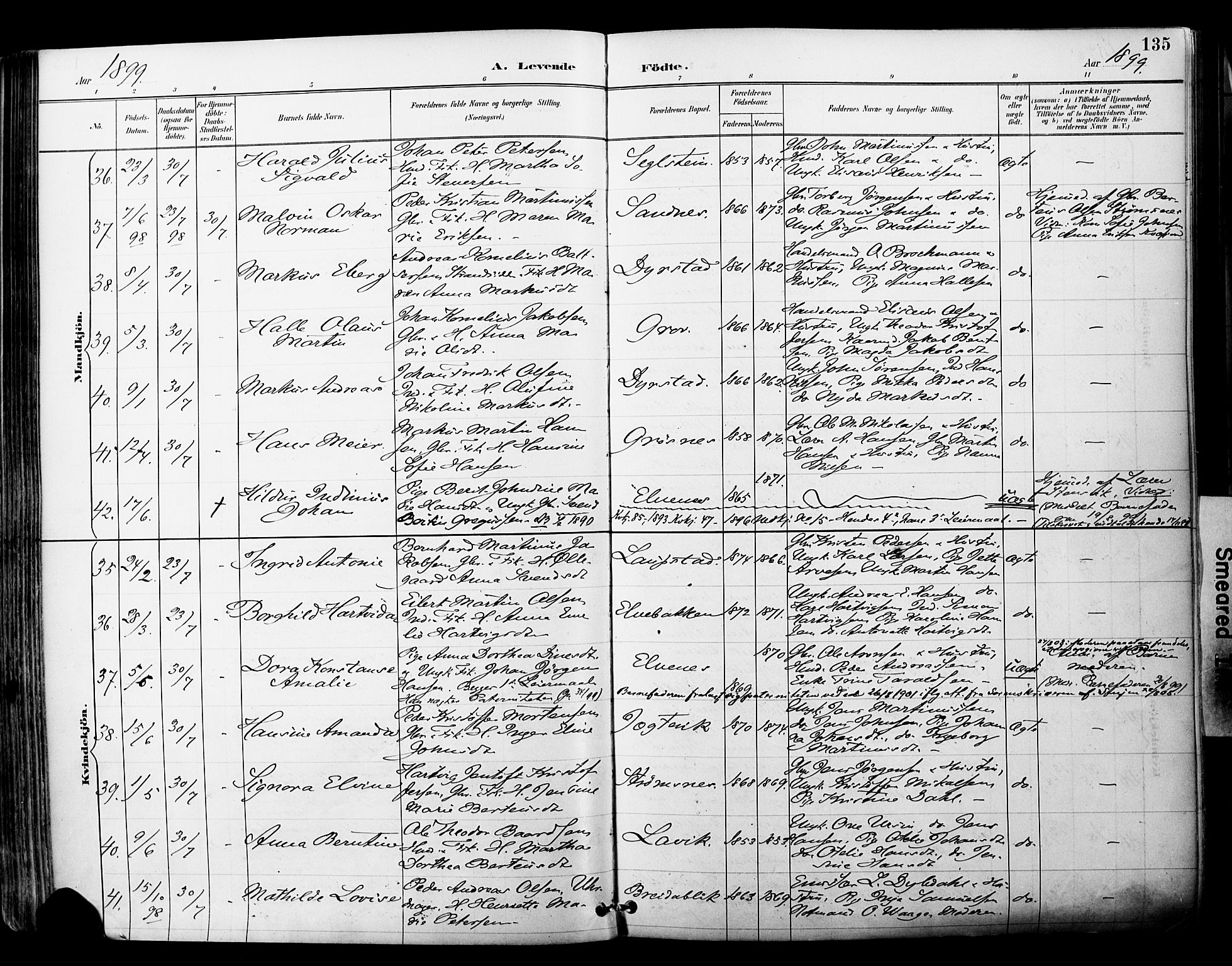 Ibestad sokneprestembete, SATØ/S-0077/H/Ha/Haa/L0012kirke: Parish register (official) no. 12, 1890-1900, p. 135