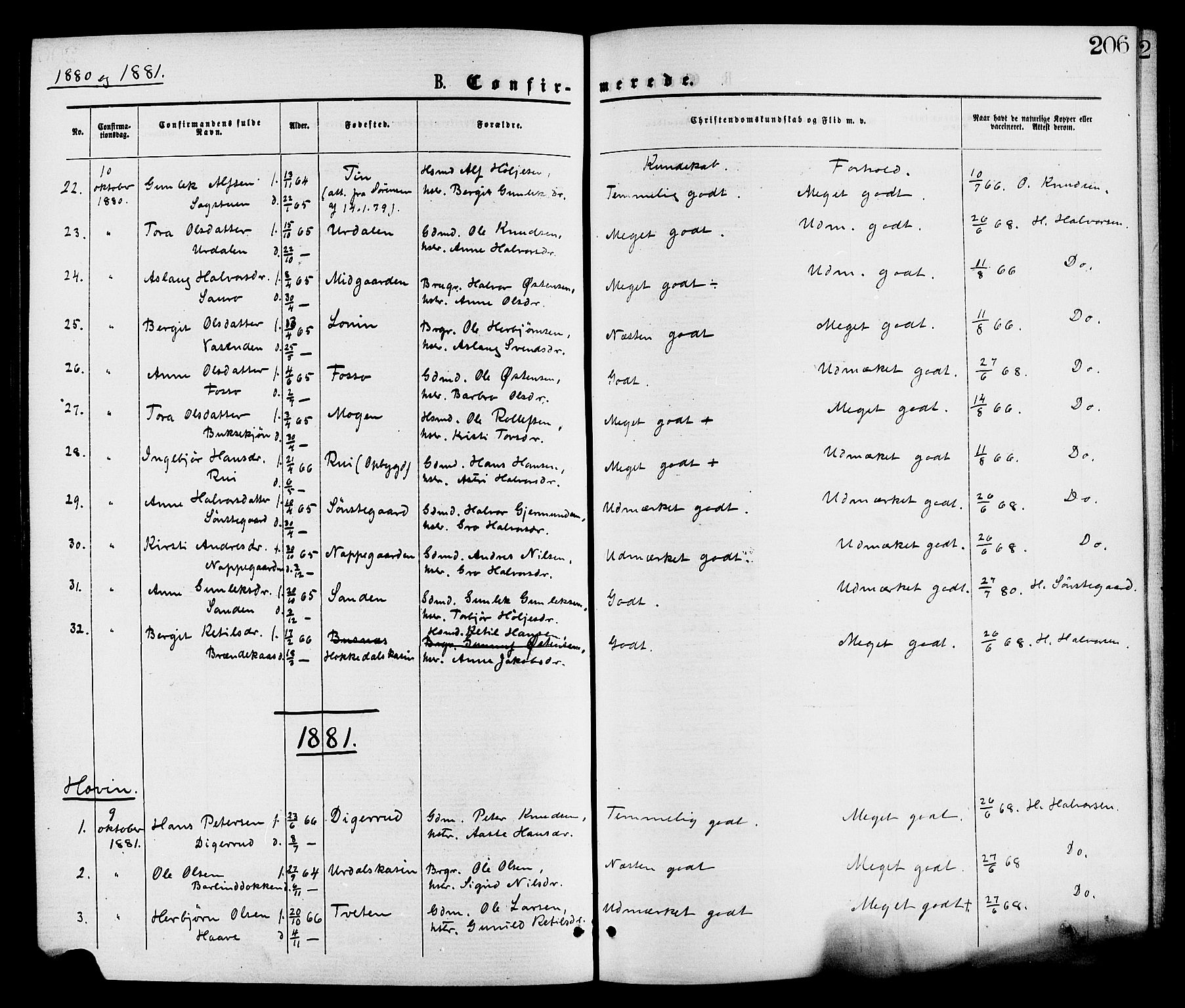 Gransherad kirkebøker, SAKO/A-267/F/Fa/L0004: Parish register (official) no. I 4, 1871-1886, p. 206