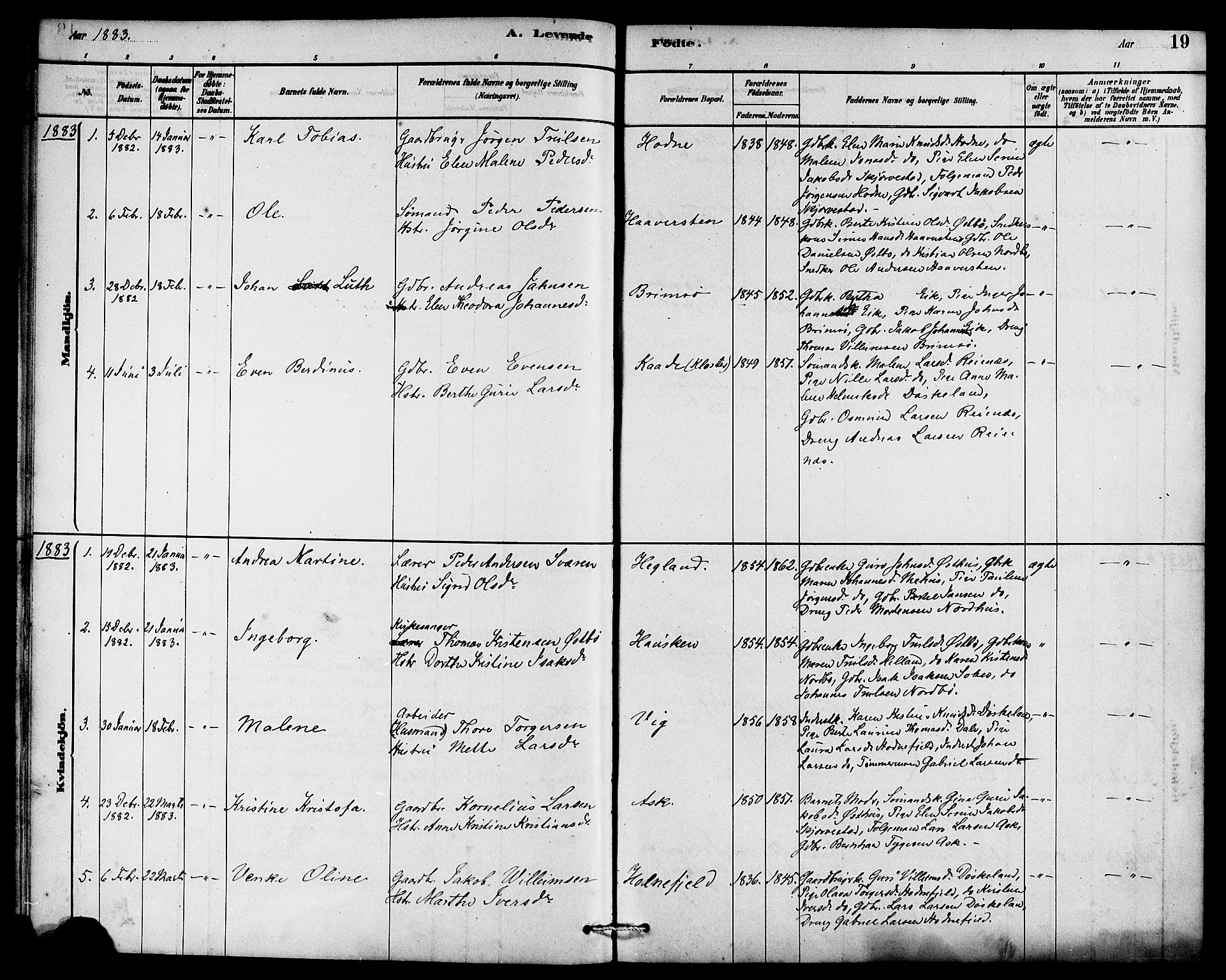 Rennesøy sokneprestkontor, AV/SAST-A -101827/H/Ha/Haa/L0007: Parish register (official) no. A 7, 1878-1884, p. 19