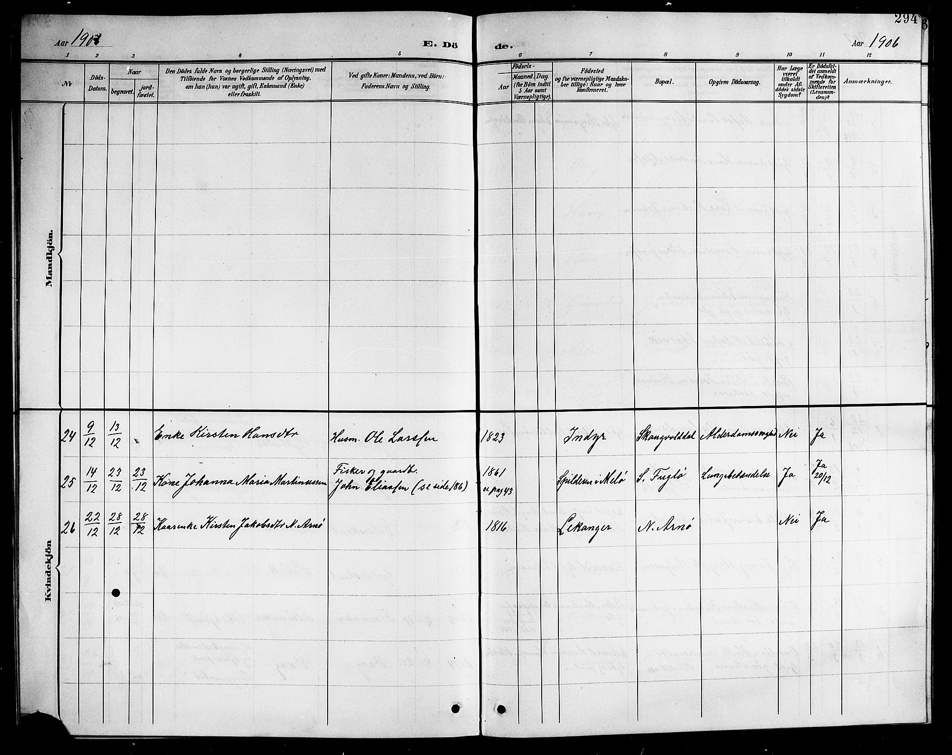 Ministerialprotokoller, klokkerbøker og fødselsregistre - Nordland, SAT/A-1459/805/L0109: Parish register (copy) no. 805C05, 1900-1911, p. 294