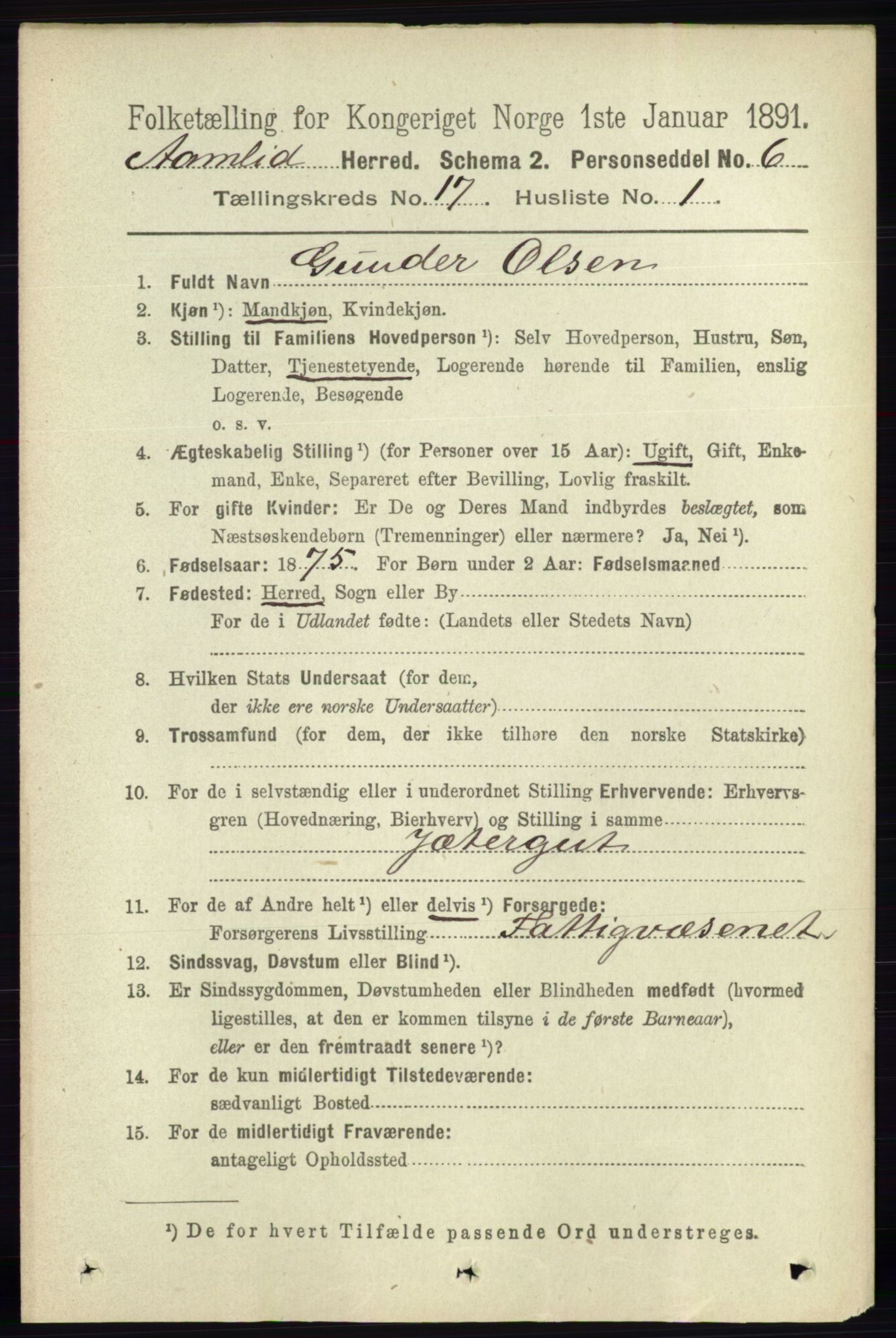 RA, 1891 census for 0929 Åmli, 1891, p. 2810