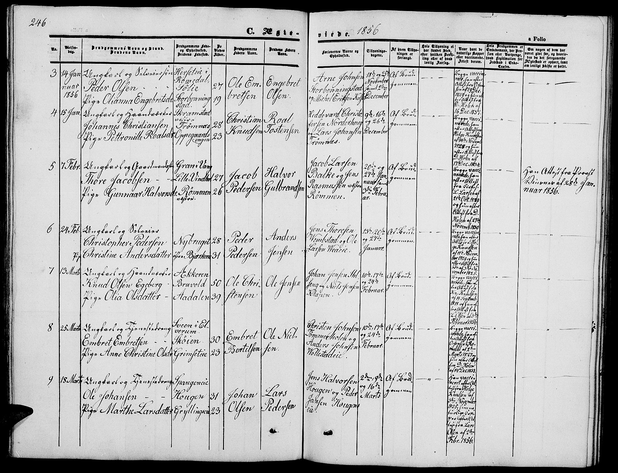 Løten prestekontor, AV/SAH-PREST-022/L/La/L0003: Parish register (copy) no. 3, 1850-1862, p. 246