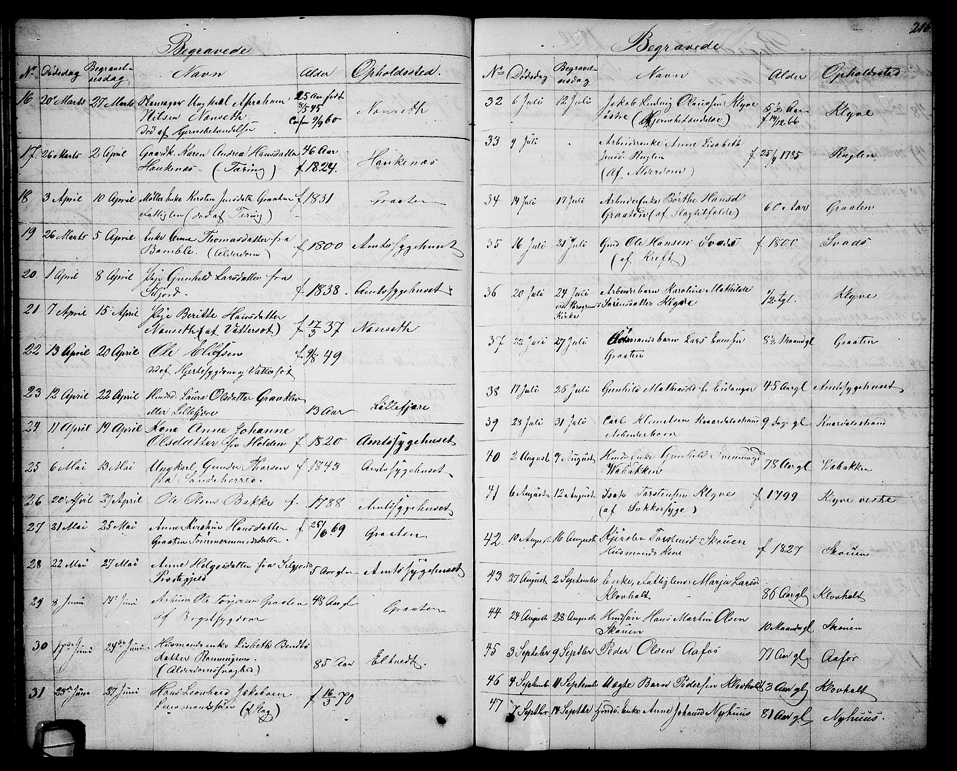 Solum kirkebøker, SAKO/A-306/G/Ga/L0004: Parish register (copy) no. I 4, 1859-1876, p. 216