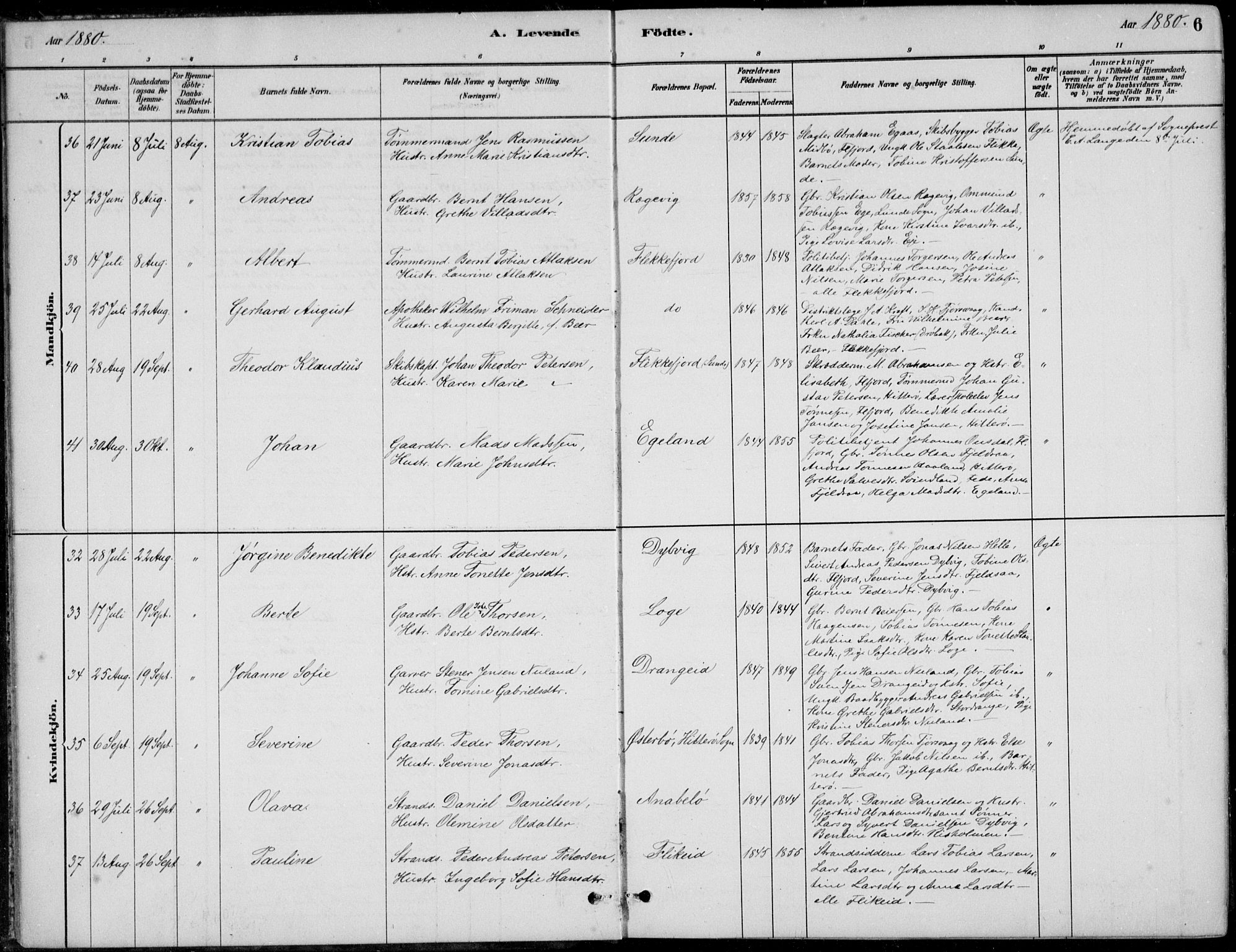 Flekkefjord sokneprestkontor, AV/SAK-1111-0012/F/Fb/Fbc/L0007: Parish register (copy) no. B 7, 1880-1902, p. 6