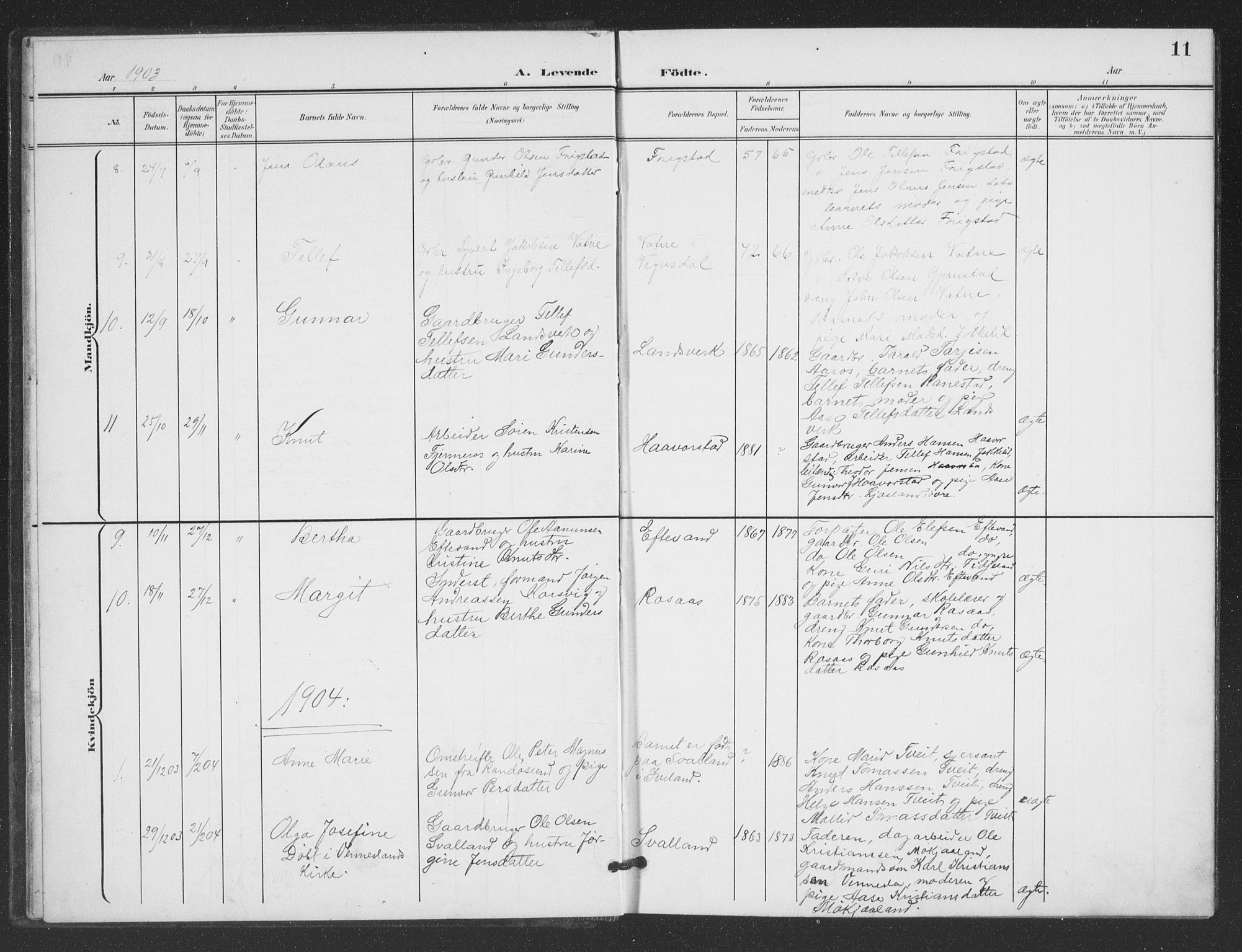 Evje sokneprestkontor, SAK/1111-0008/F/Fb/Fbc/L0005: Parish register (copy) no. B 5, 1901-1935, p. 11