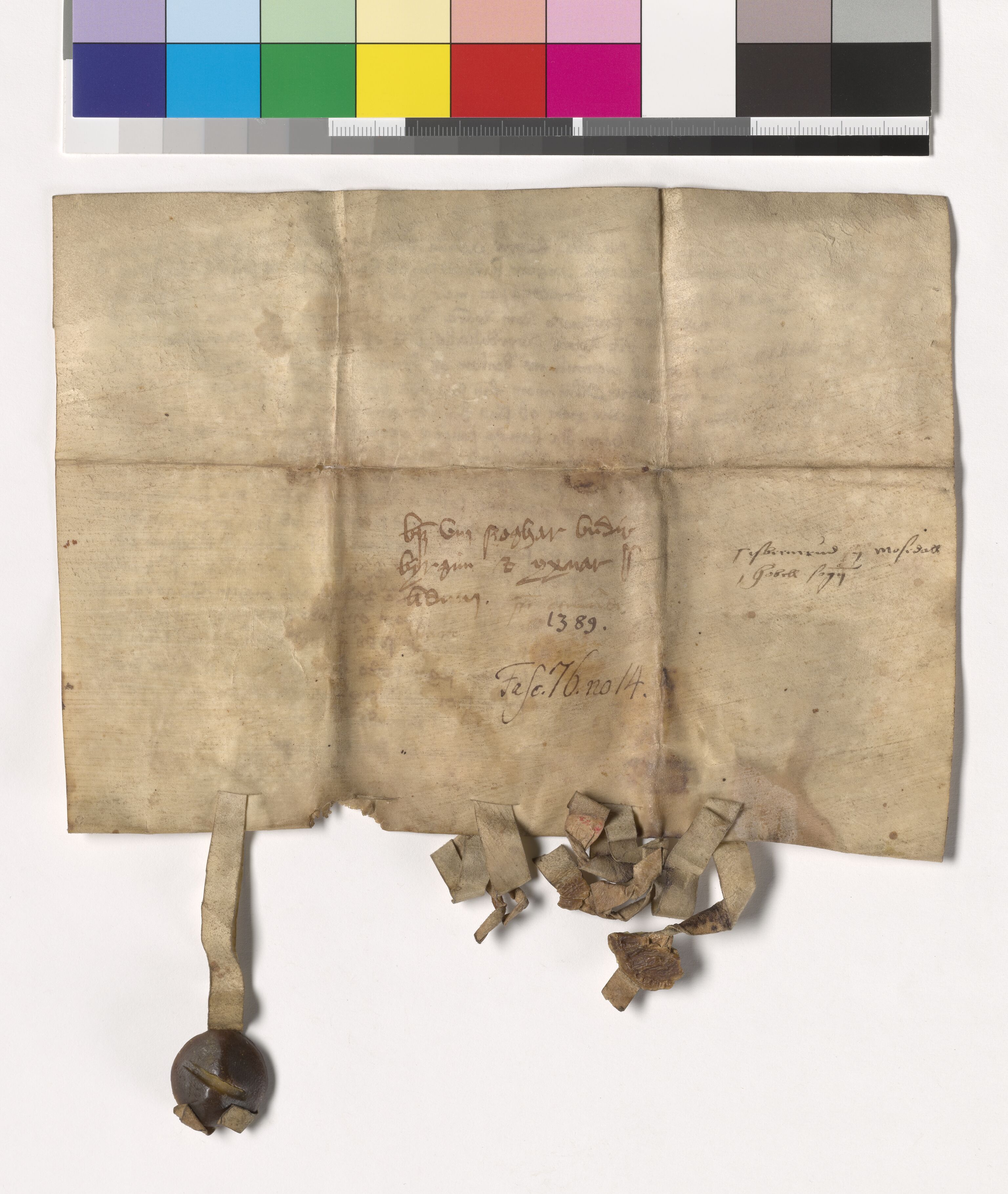 Riksarkivets diplomsamling, AV/RA-EA-5965/F05/L0188: NRA AM fasc. 76 nr. 13-16, 1389, p. 6