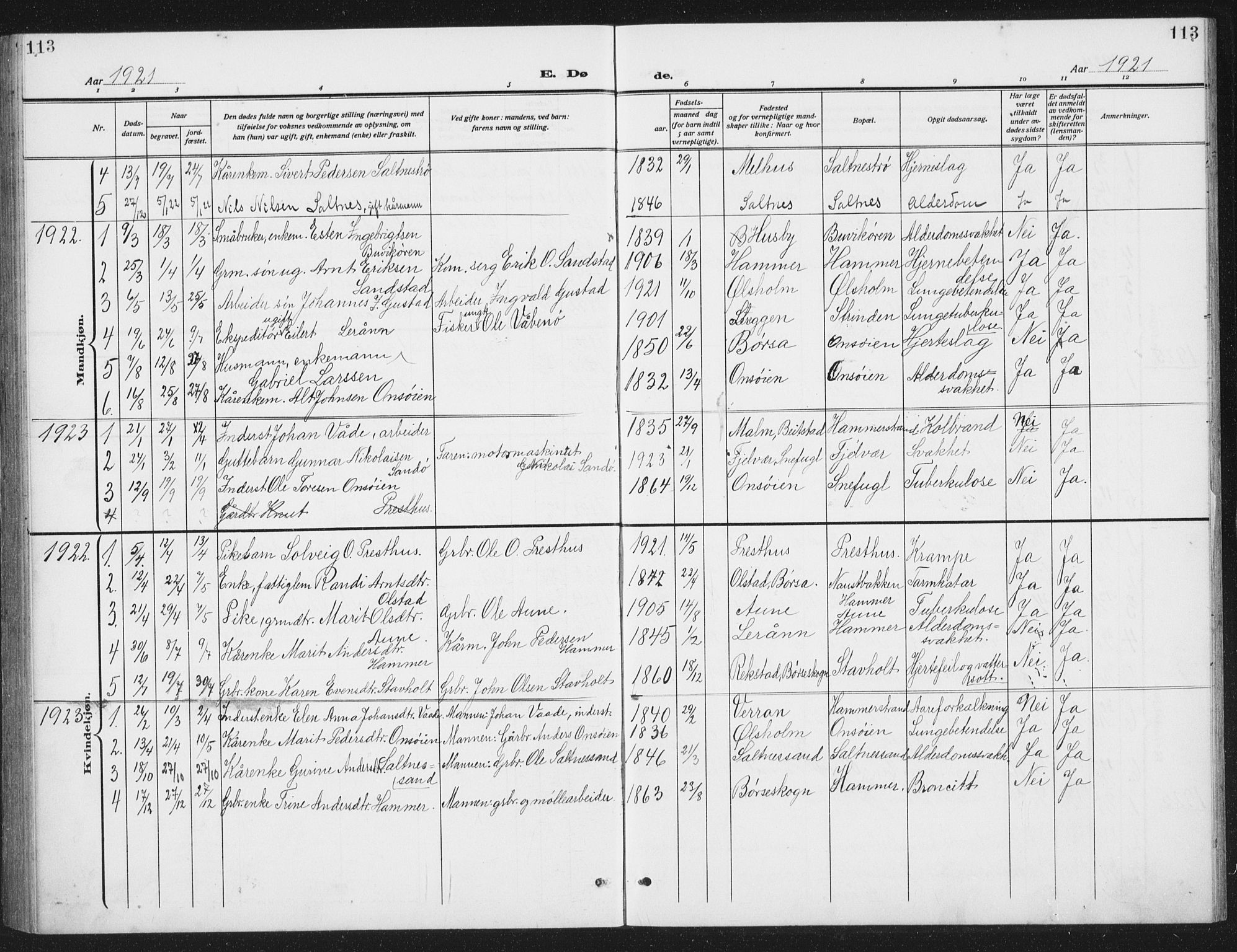 Ministerialprotokoller, klokkerbøker og fødselsregistre - Sør-Trøndelag, SAT/A-1456/666/L0791: Parish register (copy) no. 666C04, 1909-1939, p. 113