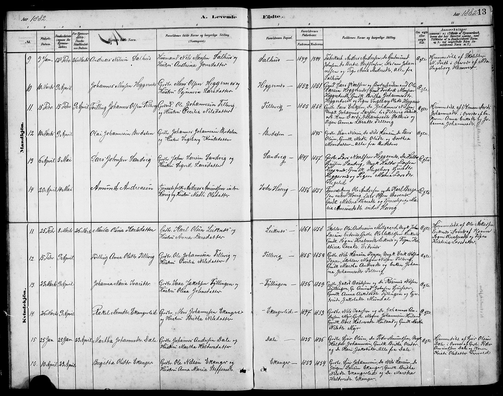 Hamre sokneprestembete, AV/SAB-A-75501/H/Ha/Hab: Parish register (copy) no. B 3, 1881-1898, p. 13