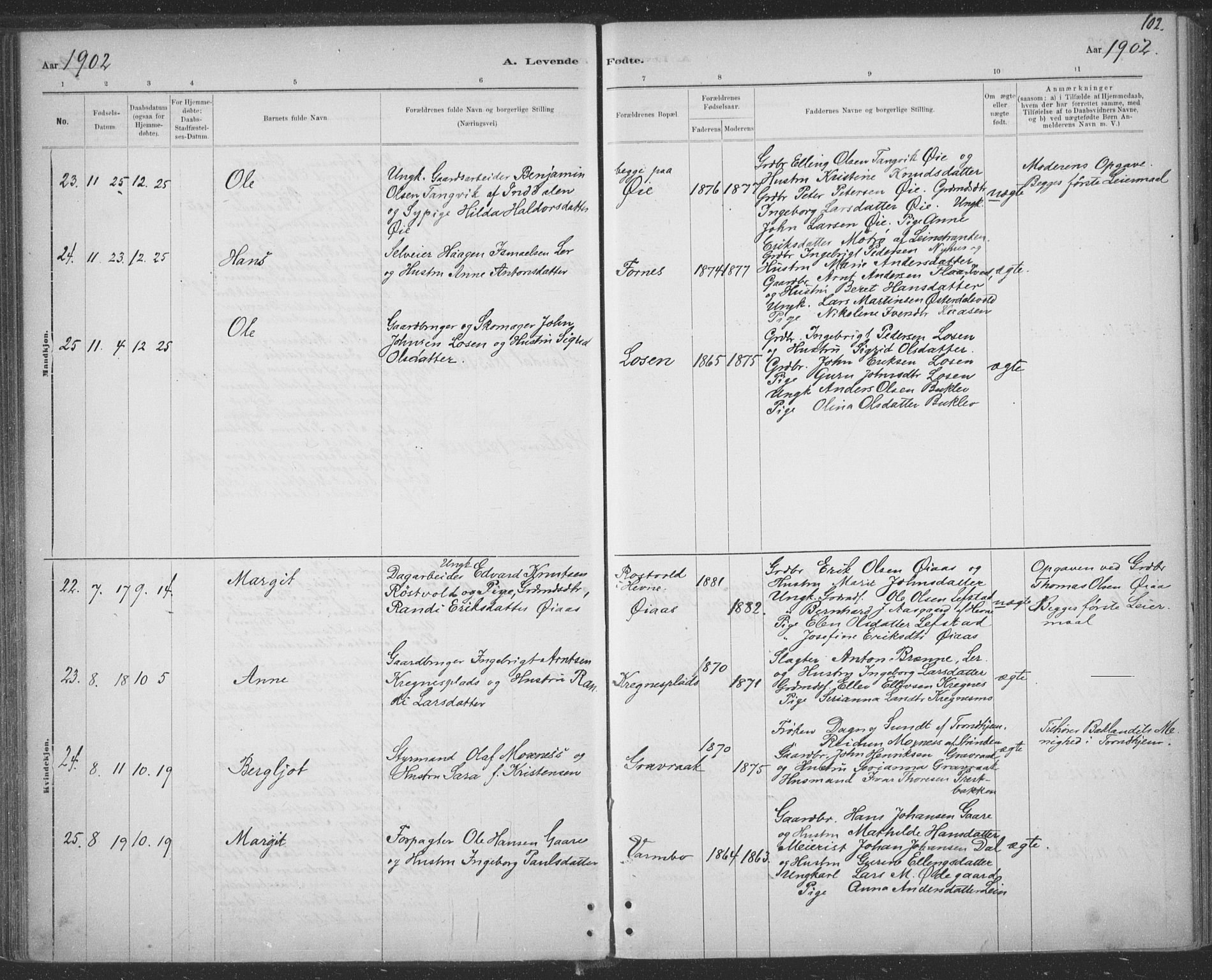 Ministerialprotokoller, klokkerbøker og fødselsregistre - Sør-Trøndelag, SAT/A-1456/691/L1085: Parish register (official) no. 691A17, 1887-1908, p. 102