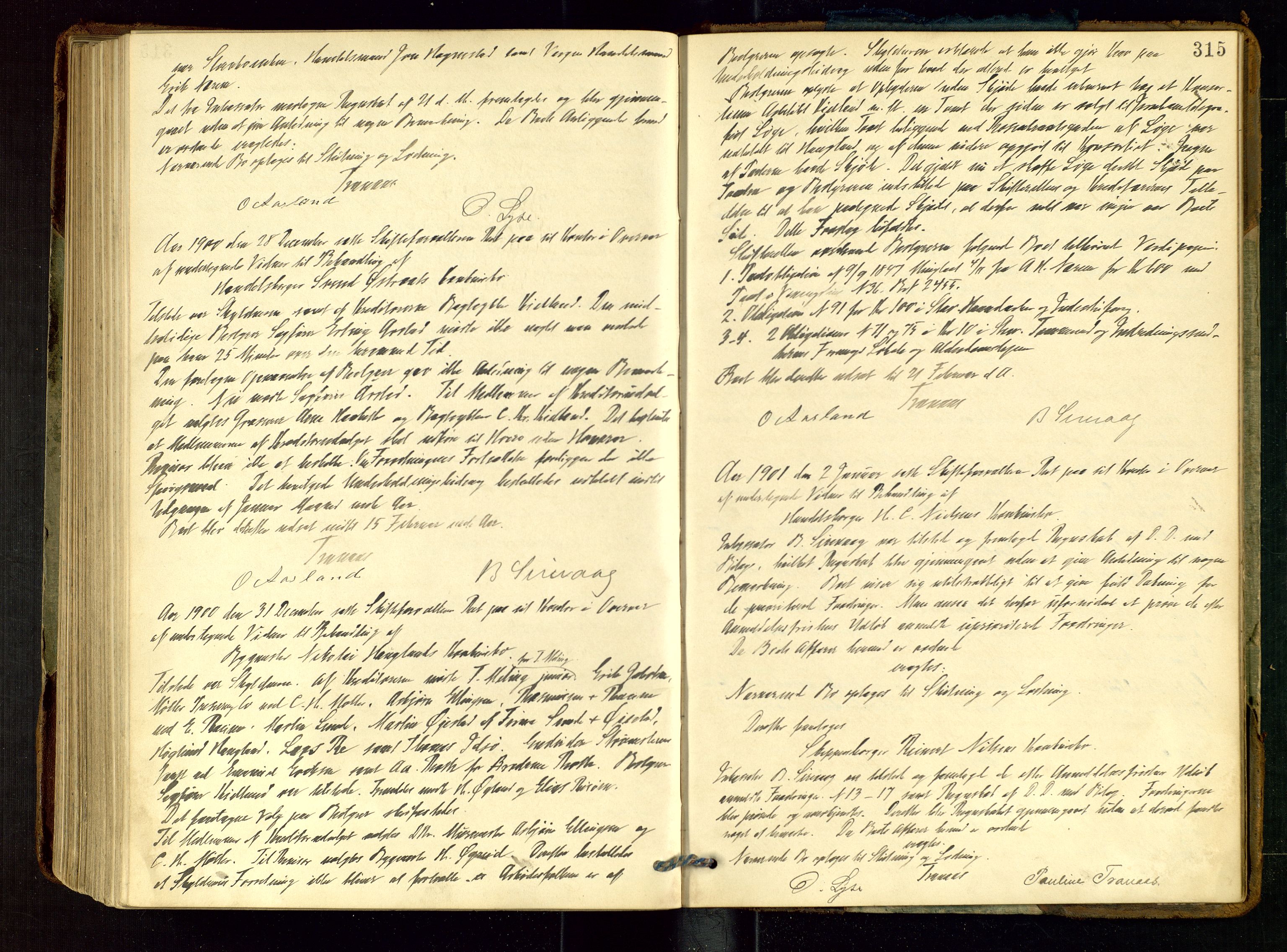Stavanger skifteforvalter, AV/SAST-A-101412/001/5/50/503BA/L0003: Skifteforhandlingsprotokoll, 1896-1901, p. 315