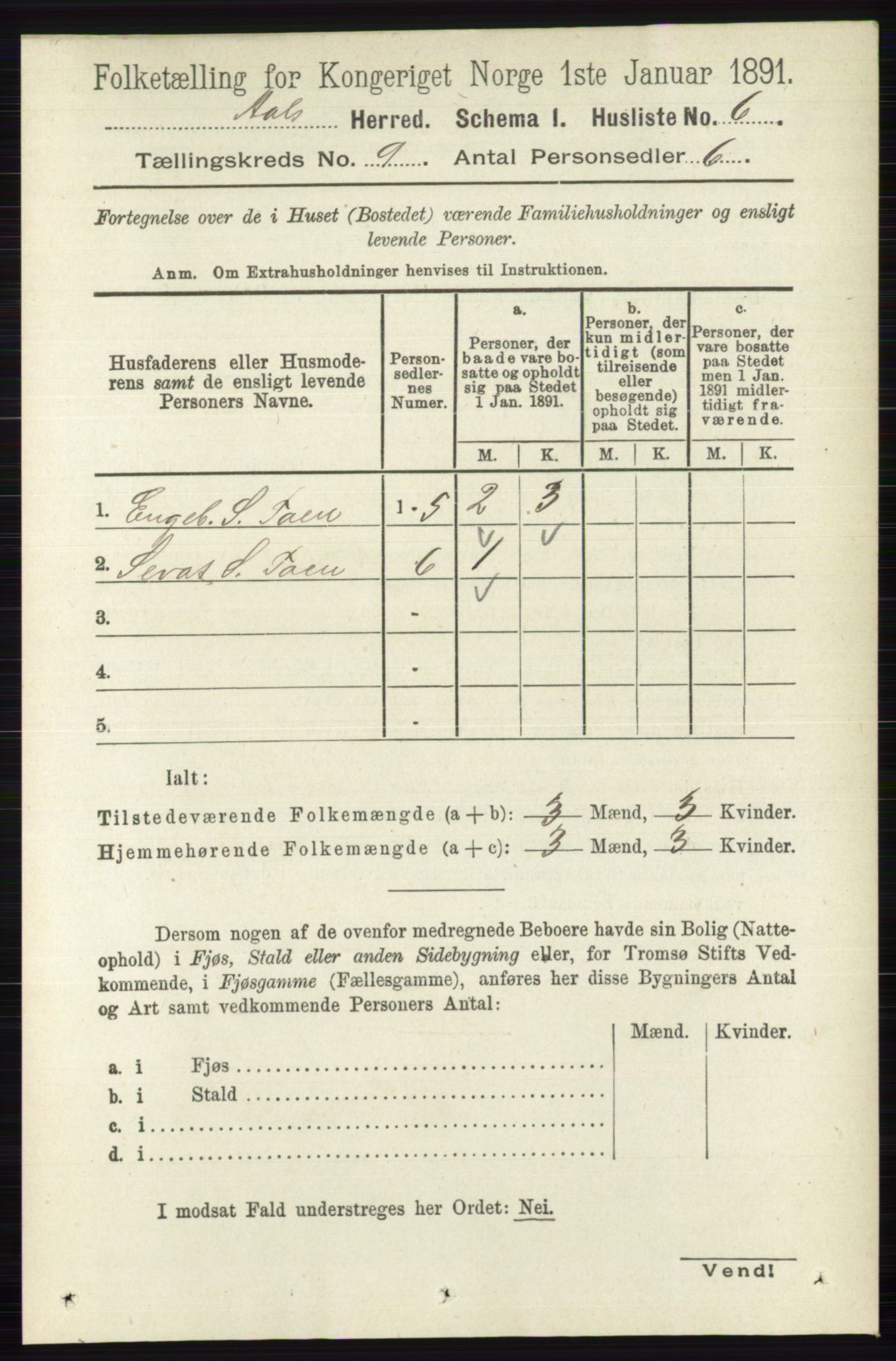 RA, 1891 census for 0619 Ål, 1891, p. 2451