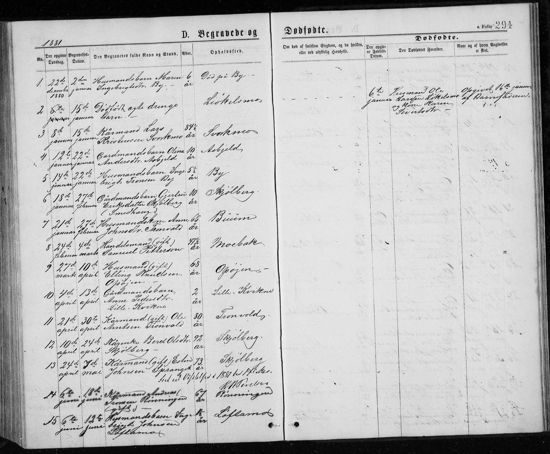 Ministerialprotokoller, klokkerbøker og fødselsregistre - Sør-Trøndelag, SAT/A-1456/671/L0843: Parish register (copy) no. 671C02, 1873-1892, p. 294