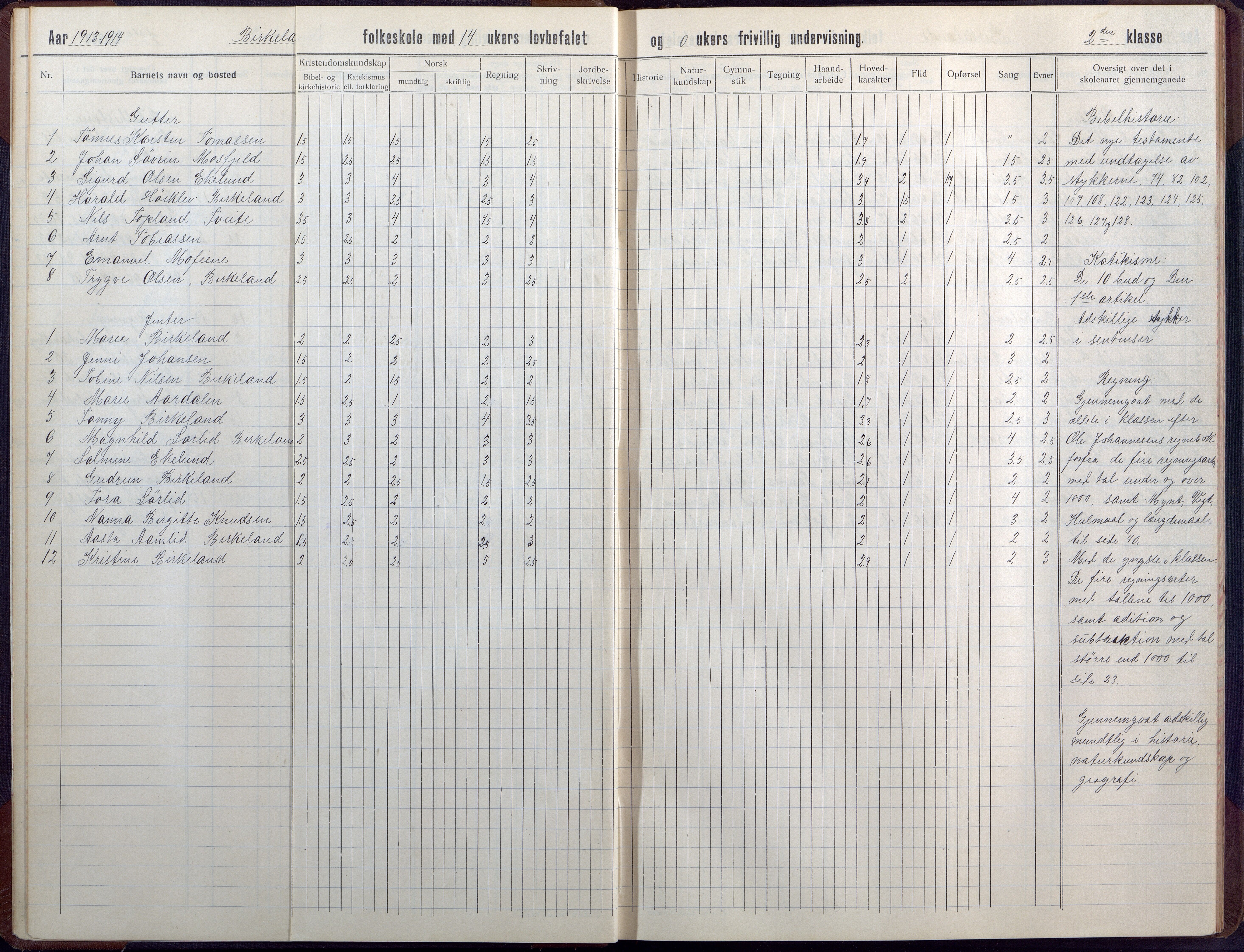Birkenes kommune, Birkenes krets/Birkeland folkeskole frem til 1991, AAMA/KA0928-550a_91/F02/L0008: Skoleprotokoll, 1911-1930