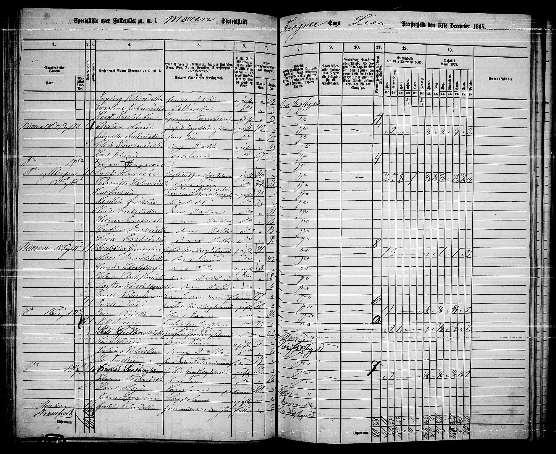 RA, 1865 census for Lier, 1865, p. 98