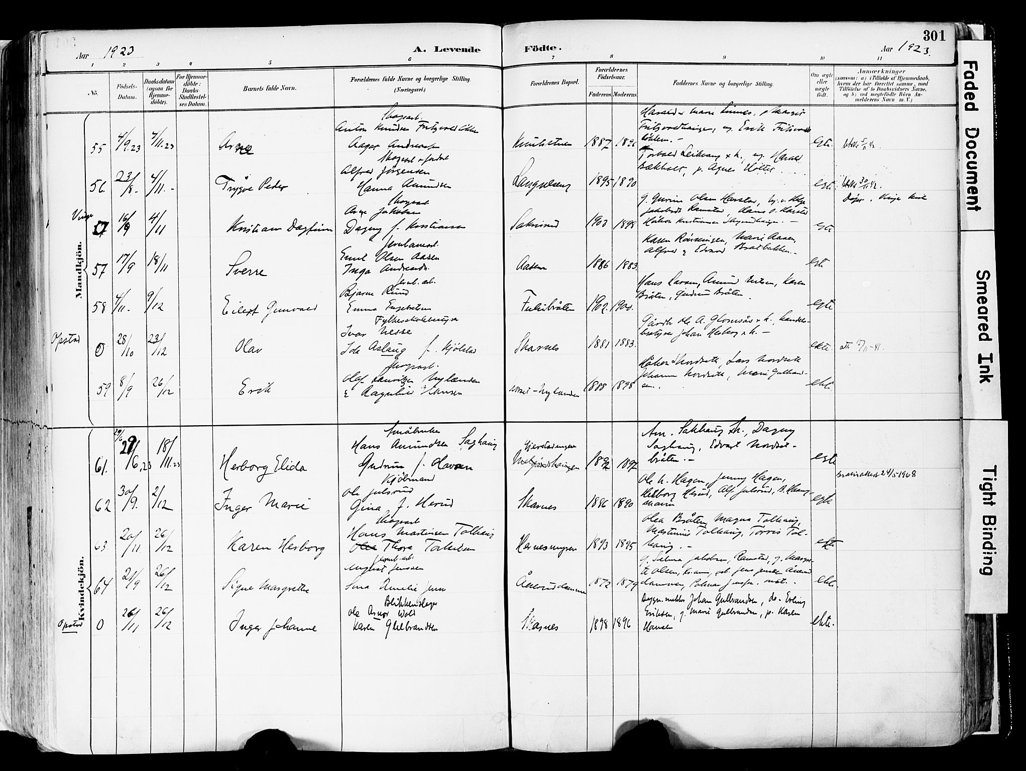 Sør-Odal prestekontor, SAH/PREST-030/H/Ha/Haa/L0006: Parish register (official) no. 6, 1886-1931, p. 301