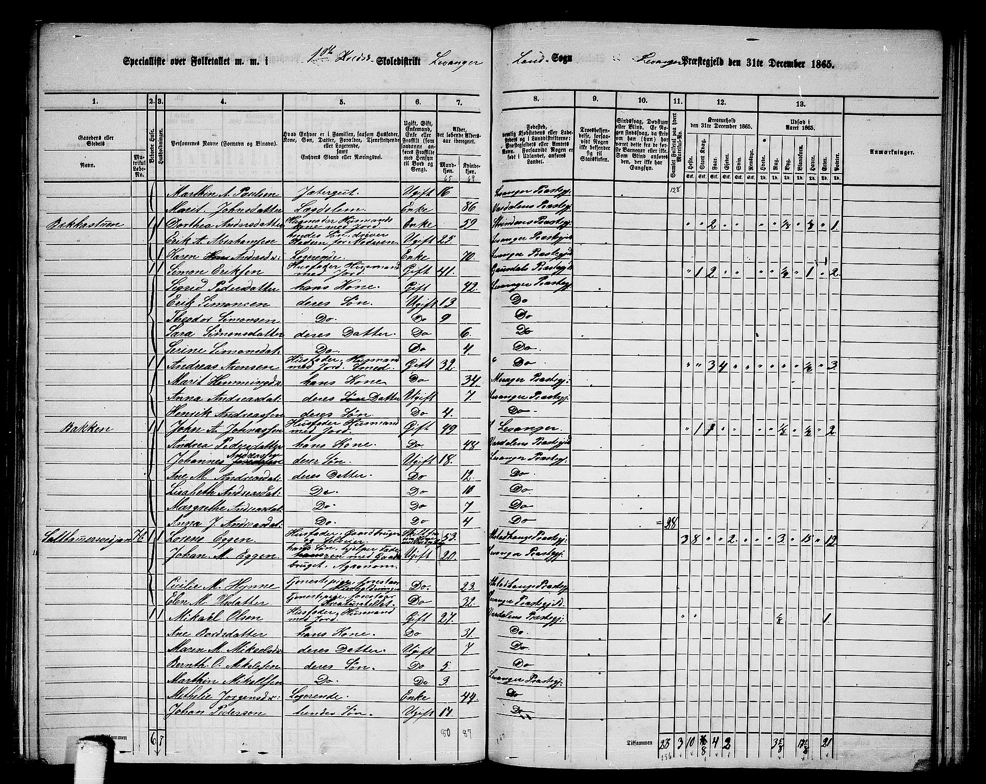 RA, 1865 census for Levanger/Levanger, 1865, p. 10