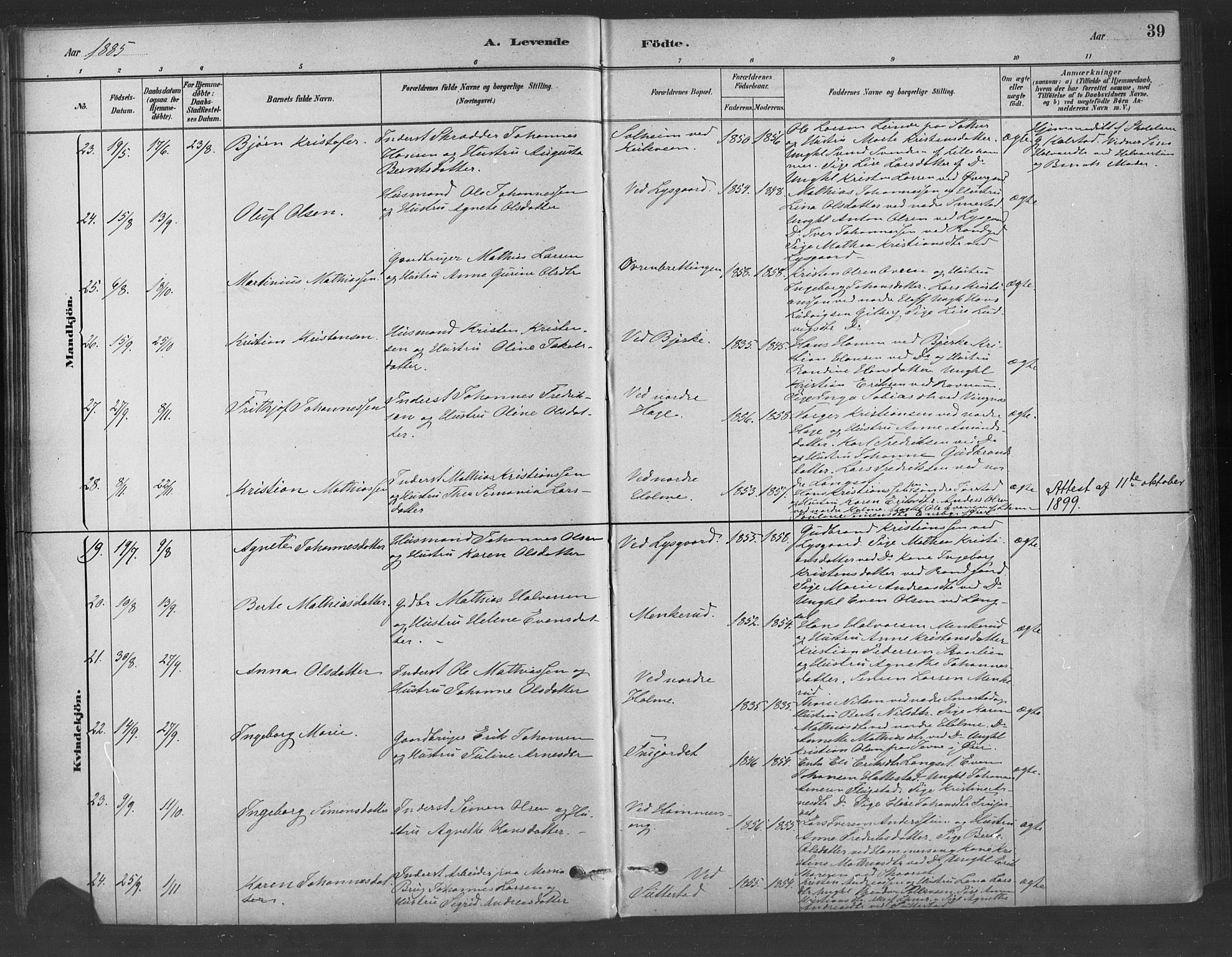 Fåberg prestekontor, AV/SAH-PREST-086/H/Ha/Haa/L0009: Parish register (official) no. 9, 1879-1898, p. 39