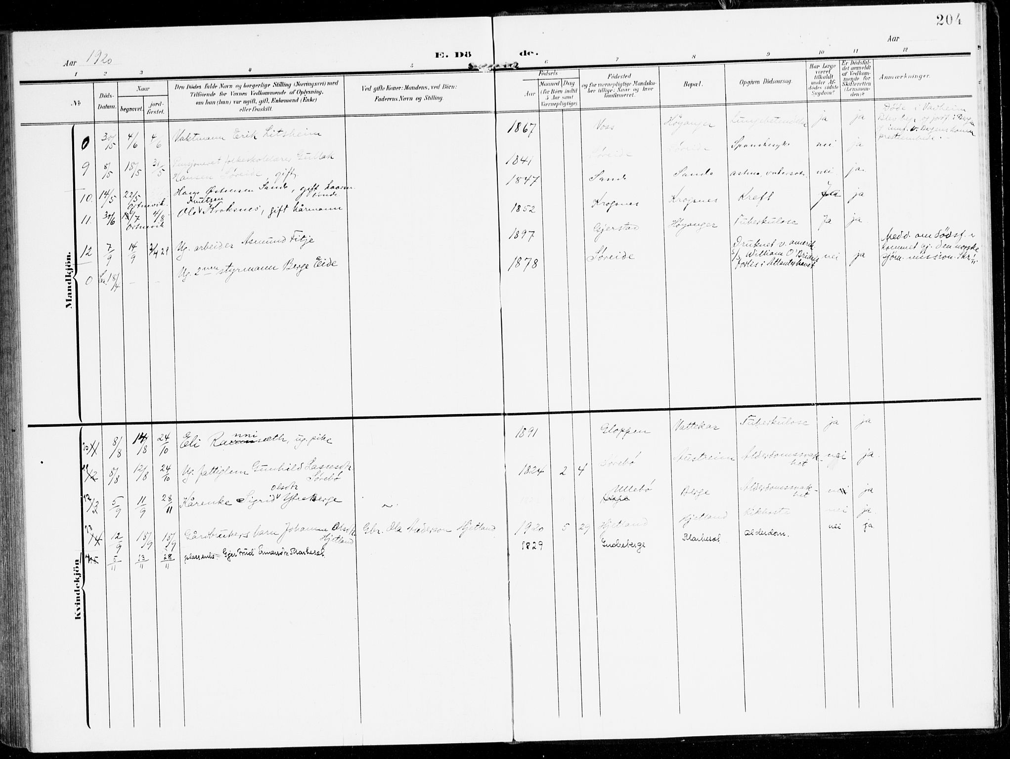 Lavik sokneprestembete, AV/SAB-A-80901: Parish register (official) no. C 2, 1904-1921, p. 204