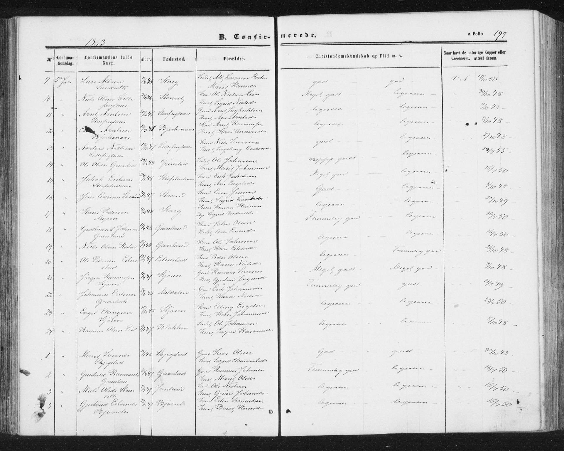 Ministerialprotokoller, klokkerbøker og fødselsregistre - Sør-Trøndelag, AV/SAT-A-1456/691/L1077: Parish register (official) no. 691A09, 1862-1873, p. 197