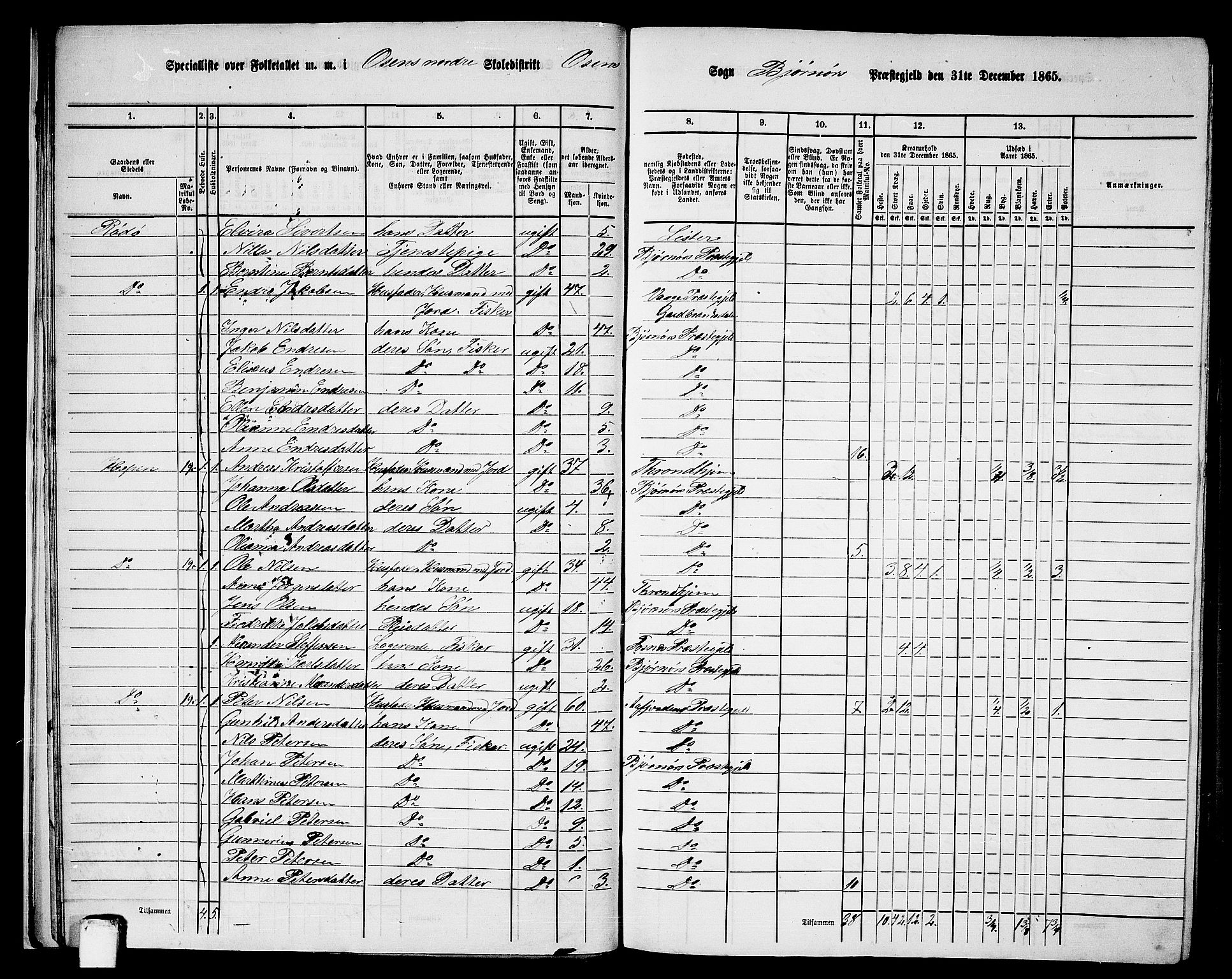 RA, 1865 census for Bjørnør, 1865, p. 18