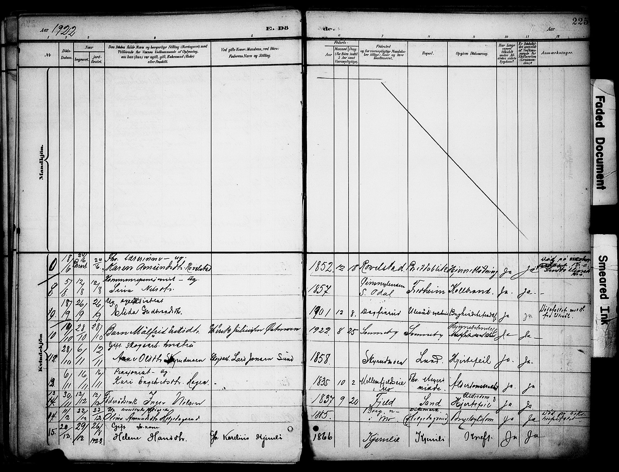 Nord-Odal prestekontor, SAH/PREST-032/H/Ha/Haa/L0007: Parish register (official) no. 7, 1902-1926, p. 225