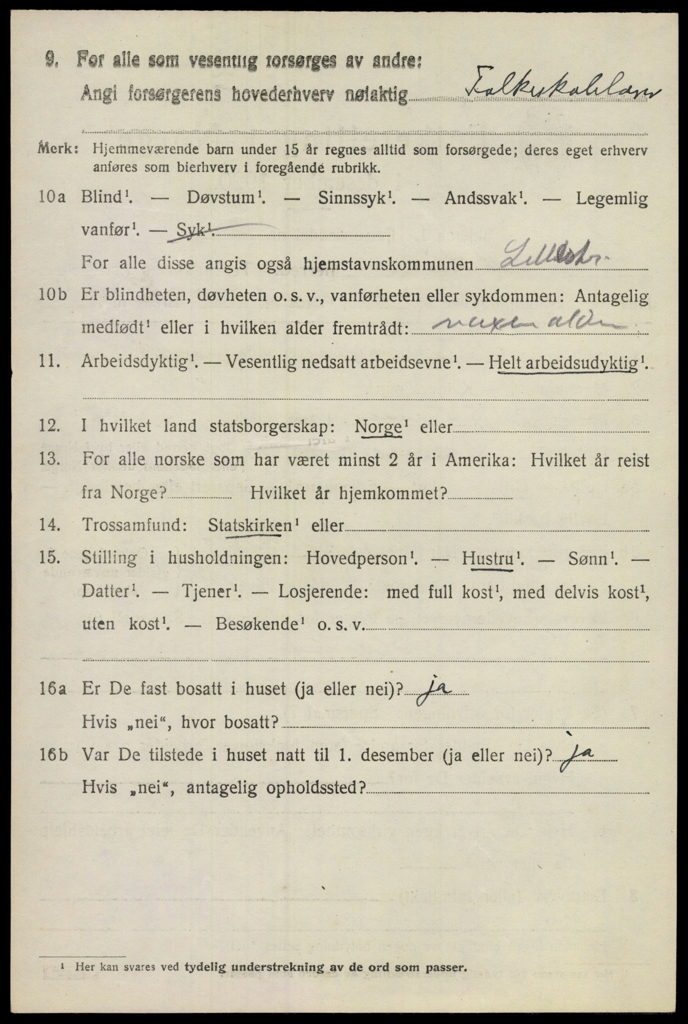 SAO, 1920 census for Lillestrøm, 1920, p. 4845