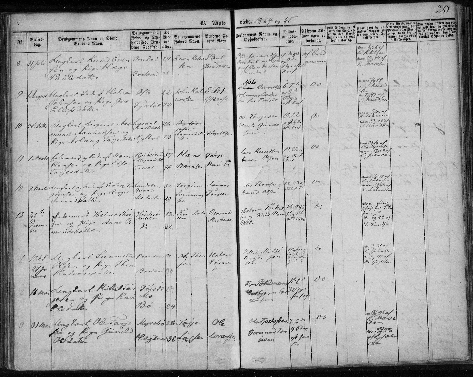 Lårdal kirkebøker, SAKO/A-284/F/Fa/L0006: Parish register (official) no. I 6, 1861-1886, p. 251