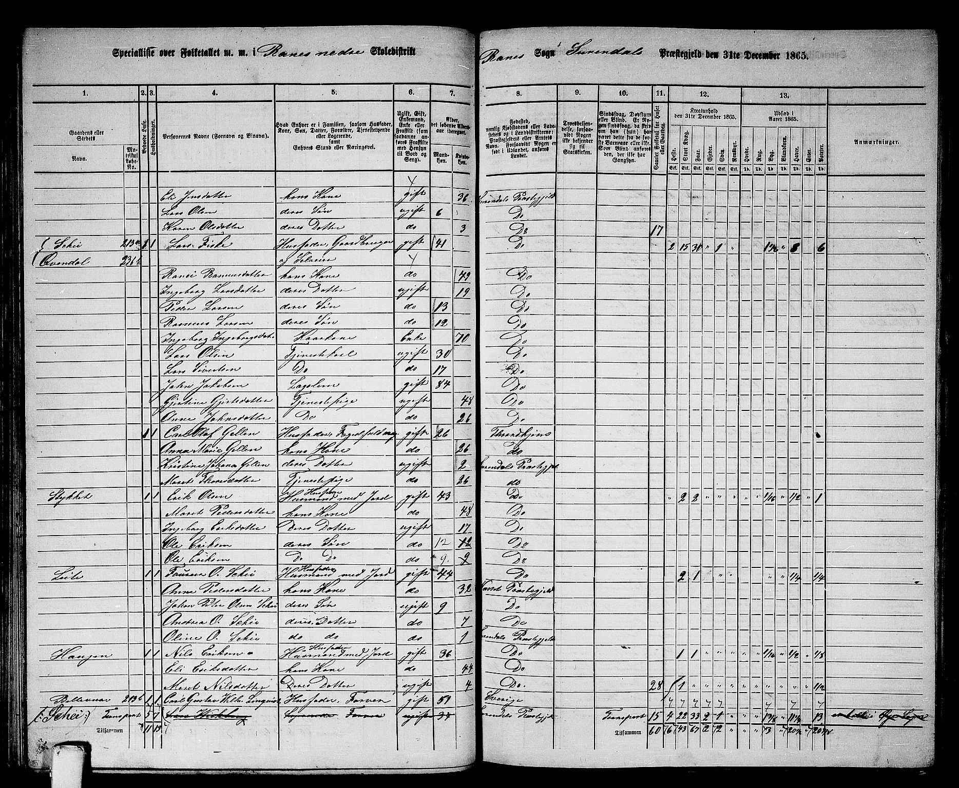 RA, 1865 census for Surnadal, 1865, p. 80