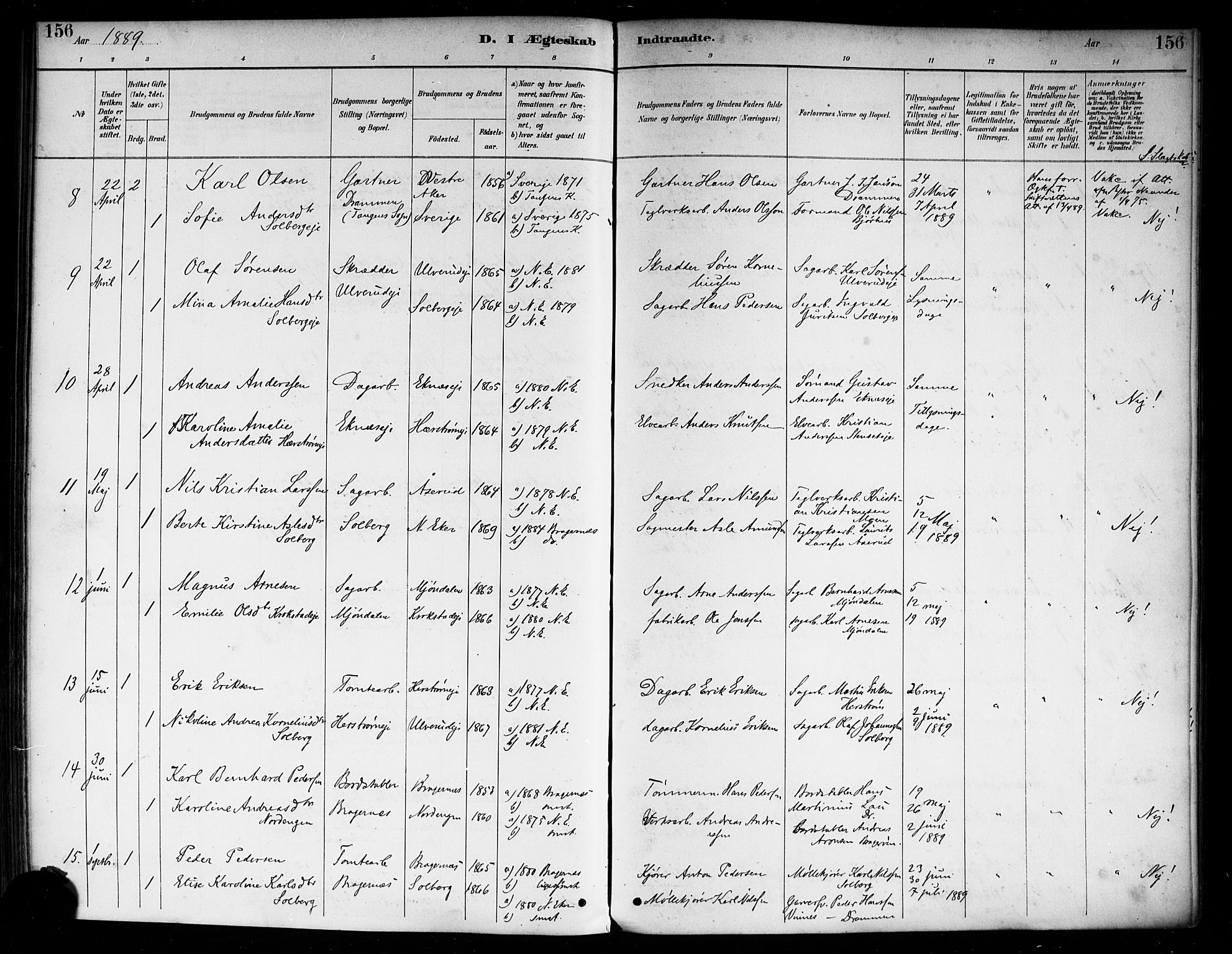 Nedre Eiker kirkebøker, AV/SAKO-A-612/F/Fa/L0003: Parish register (official) no. 3, 1885-1892, p. 156