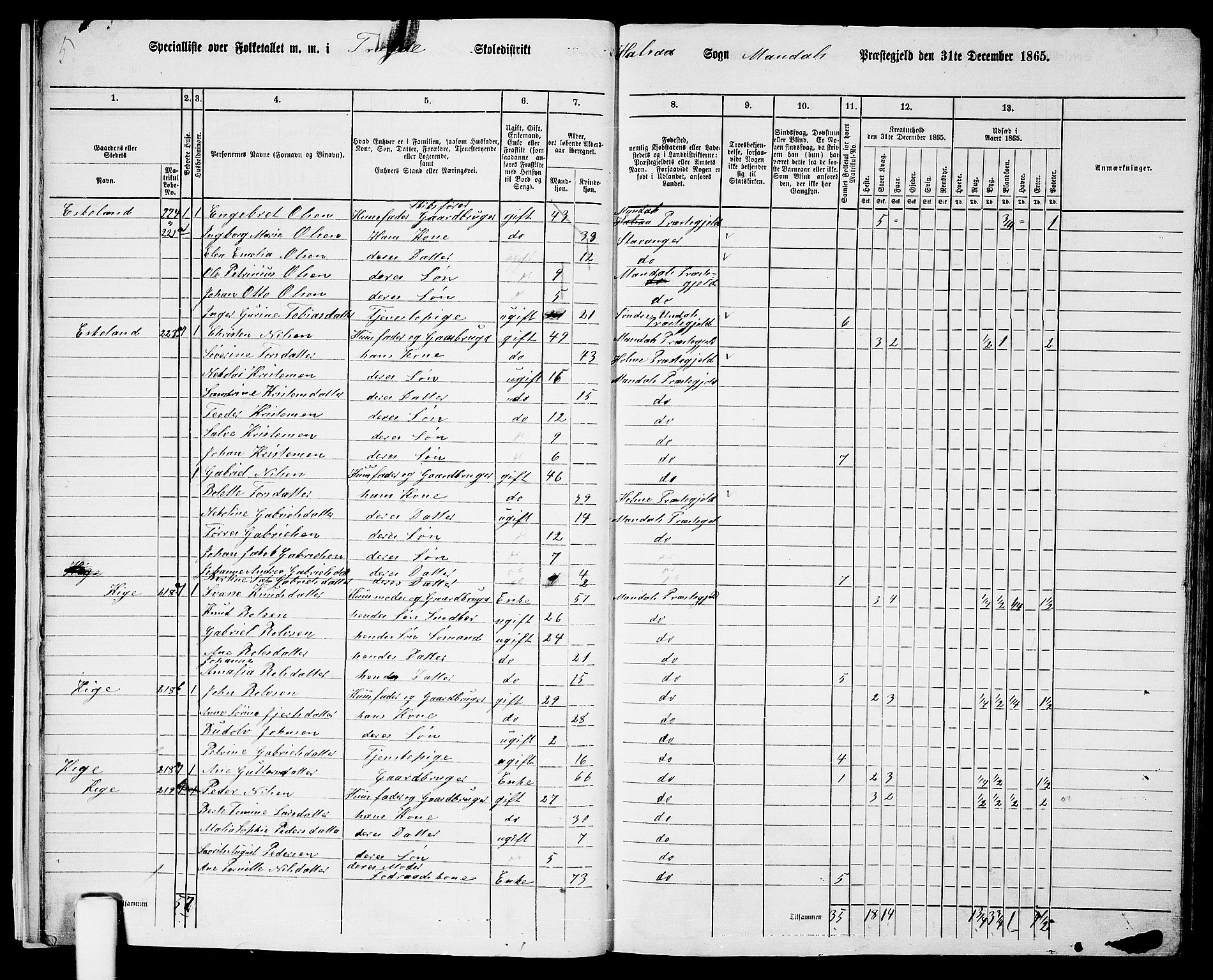 RA, 1865 census for Mandal/Halse og Harkmark, 1865, p. 21