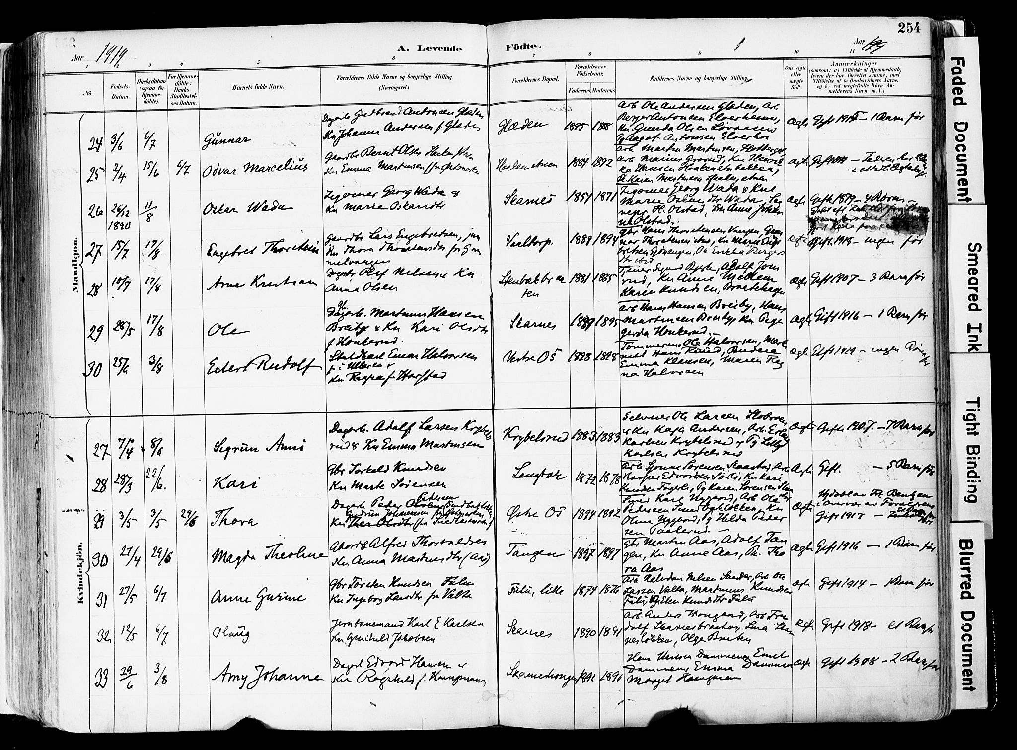 Sør-Odal prestekontor, SAH/PREST-030/H/Ha/Haa/L0006: Parish register (official) no. 6, 1886-1931, p. 254