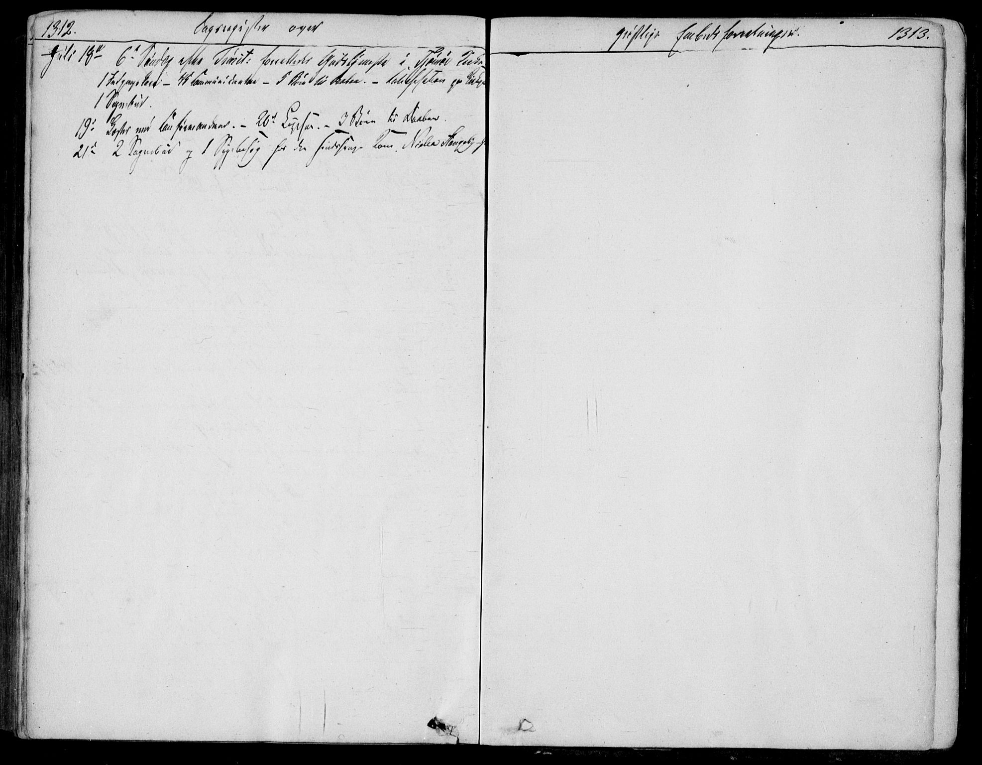 Nøtterøy kirkebøker, AV/SAKO-A-354/F/Fa/L0005: Parish register (official) no. I 5, 1839-1852, p. 1312-1313