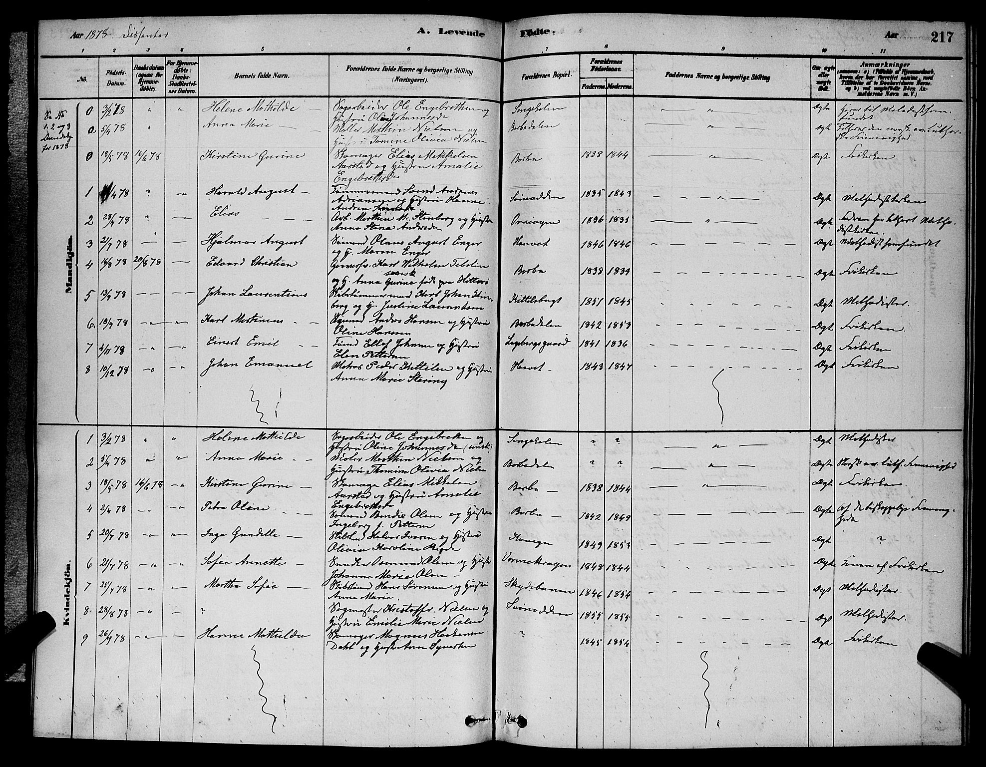 Barbu sokneprestkontor, SAK/1111-0003/F/Fb/L0001: Parish register (copy) no. B 1, 1878-1890, p. 217
