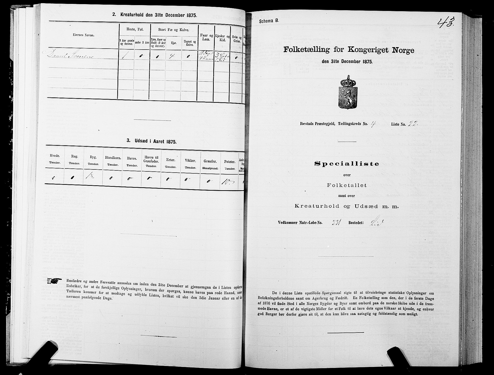 SATØ, 1875 census for 1917P Ibestad, 1875, p. 3043