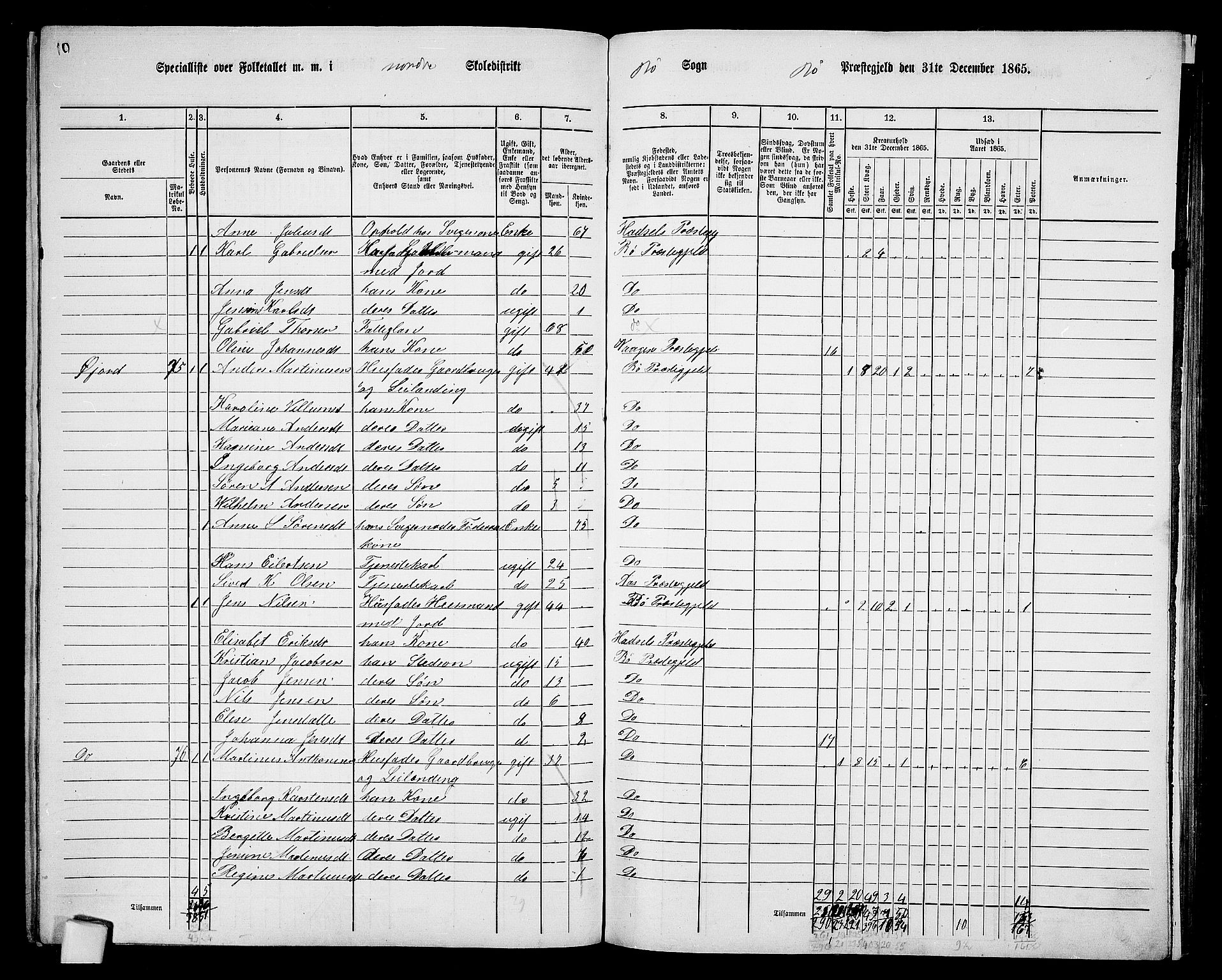 RA, 1865 census for Bø, 1865, p. 15