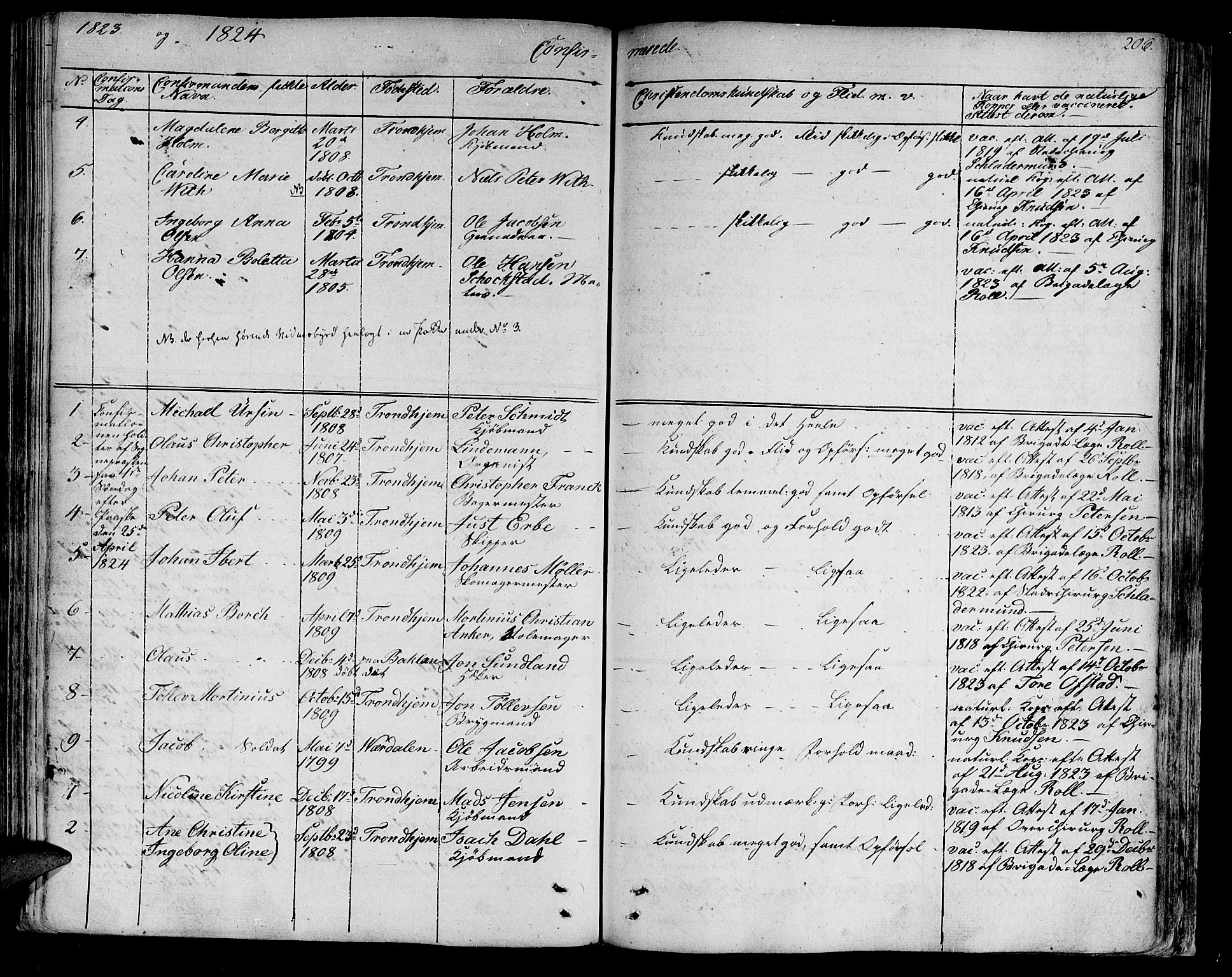 Ministerialprotokoller, klokkerbøker og fødselsregistre - Sør-Trøndelag, SAT/A-1456/602/L0108: Parish register (official) no. 602A06, 1821-1839, p. 206