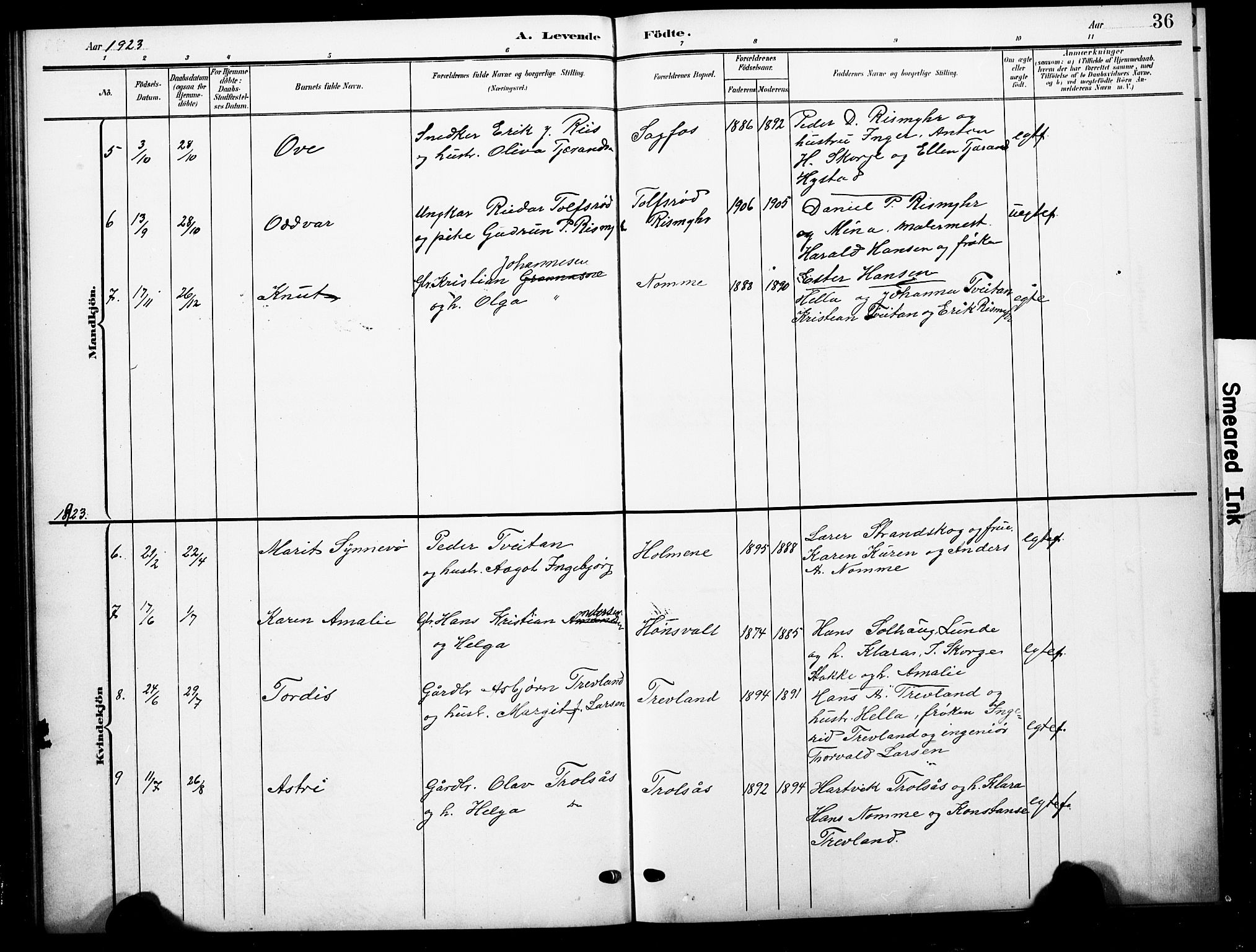 Andebu kirkebøker, AV/SAKO-A-336/G/Gc/L0001: Parish register (copy) no. III 1, 1901-1930, p. 36