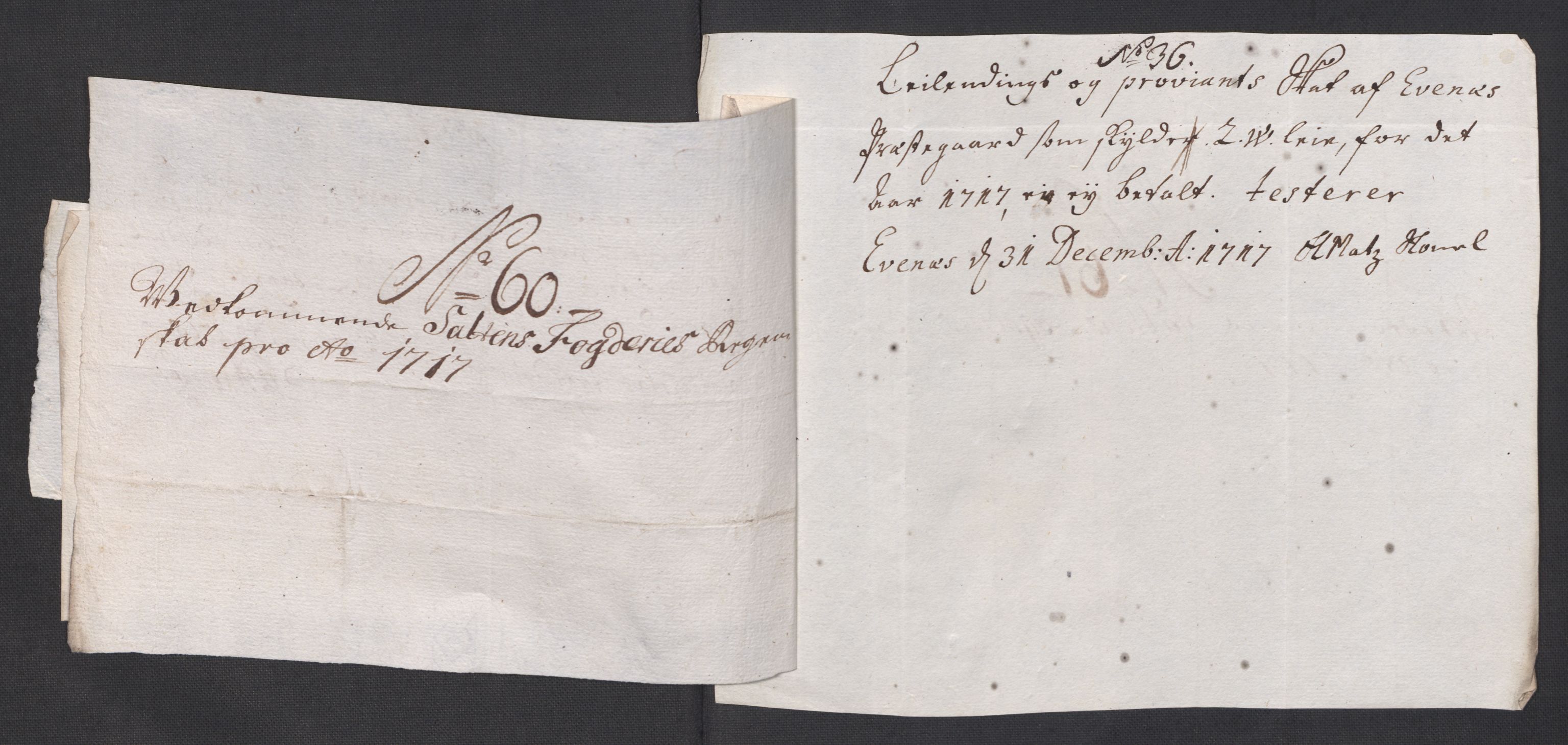 Rentekammeret inntil 1814, Reviderte regnskaper, Fogderegnskap, AV/RA-EA-4092/R66/L4587: Fogderegnskap Salten, 1717, p. 339