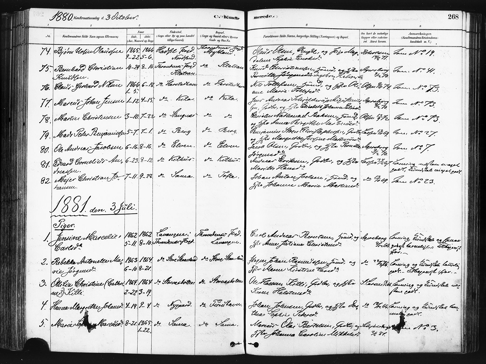 Trondenes sokneprestkontor, SATØ/S-1319/H/Ha/L0014kirke: Parish register (official) no. 14, 1878-1889, p. 268