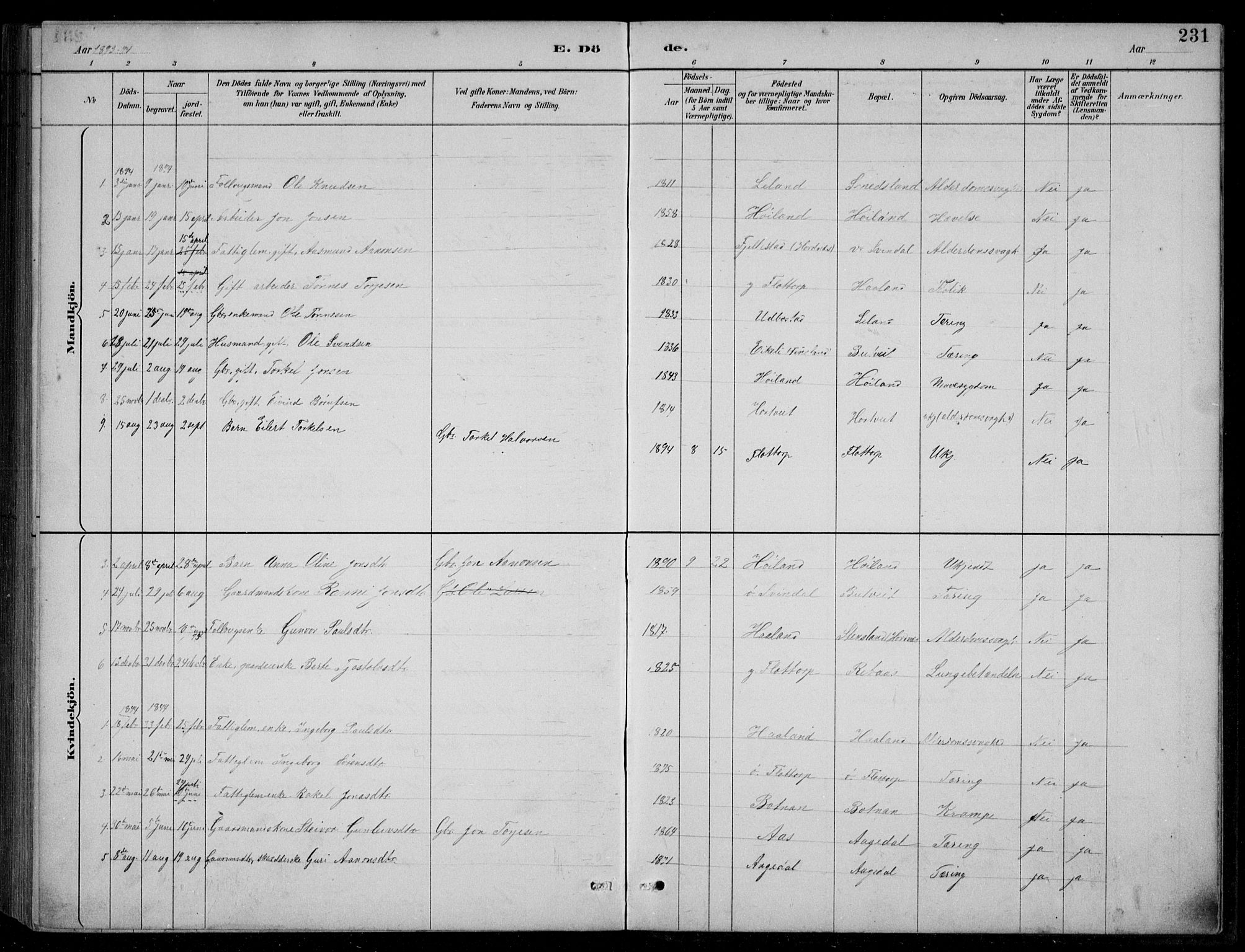 Bjelland sokneprestkontor, SAK/1111-0005/F/Fb/Fbc/L0003: Parish register (copy) no. B 3, 1887-1924, p. 231