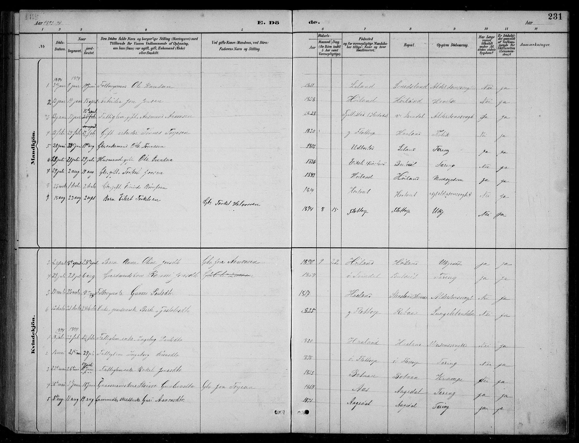 Bjelland sokneprestkontor, AV/SAK-1111-0005/F/Fb/Fbc/L0003: Parish register (copy) no. B 3, 1887-1924, p. 231