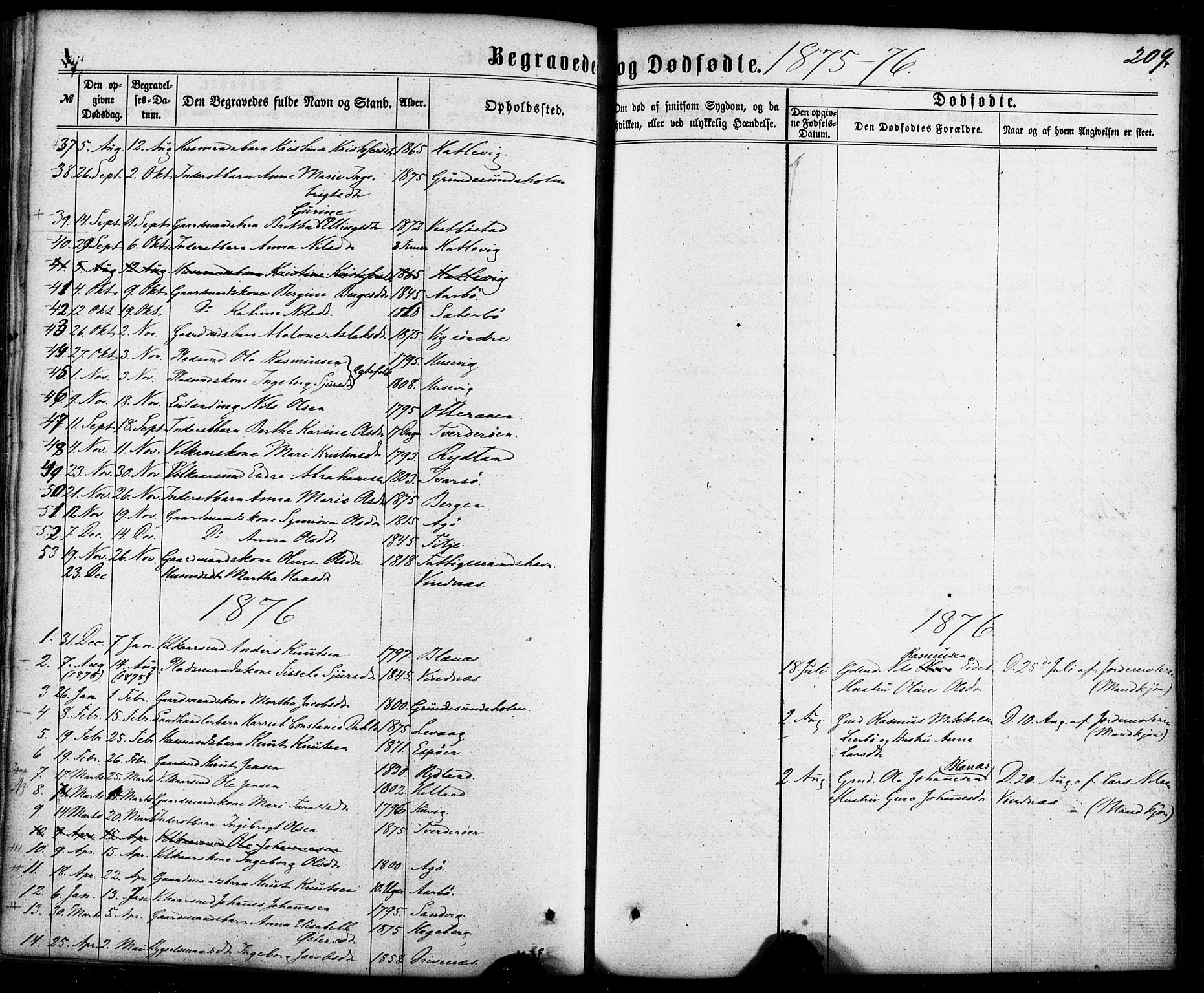 Fitjar sokneprestembete, SAB/A-99926: Parish register (official) no. A 1, 1862-1881, p. 209