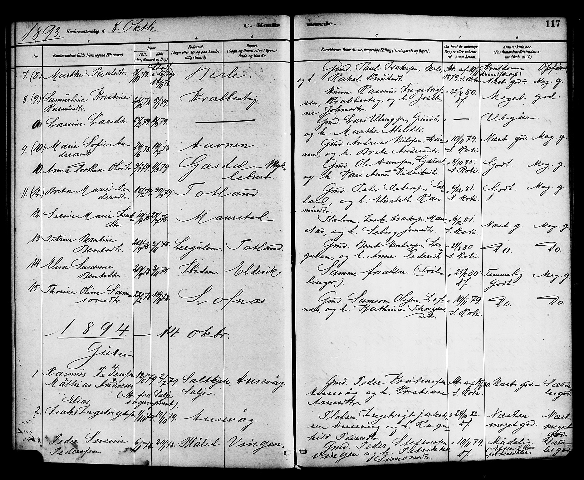 Davik sokneprestembete, AV/SAB-A-79701/H/Haa/Haad/L0001: Parish register (official) no. D 1, 1882-1900, p. 117