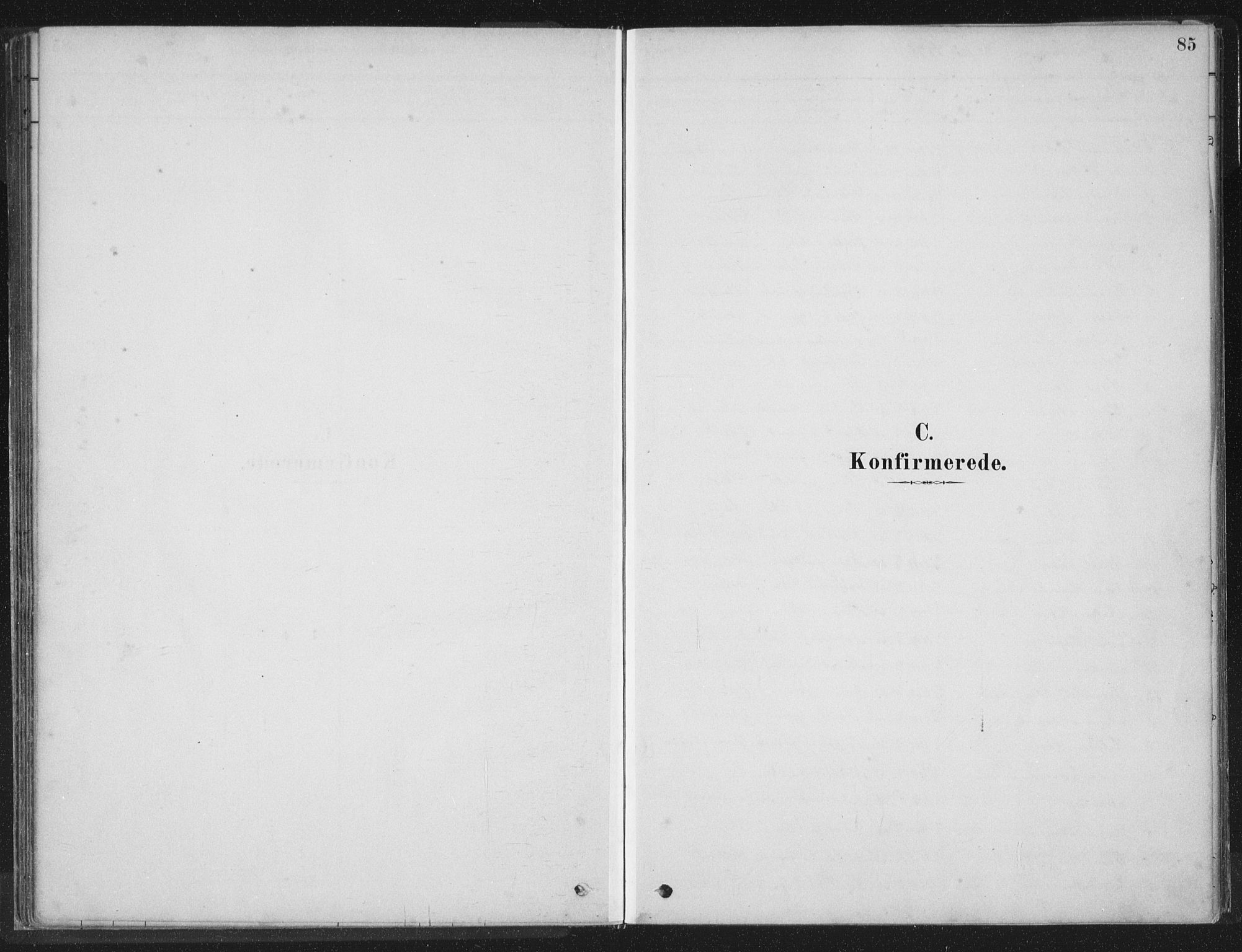 Ministerialprotokoller, klokkerbøker og fødselsregistre - Nord-Trøndelag, SAT/A-1458/788/L0697: Parish register (official) no. 788A04, 1878-1902, p. 85