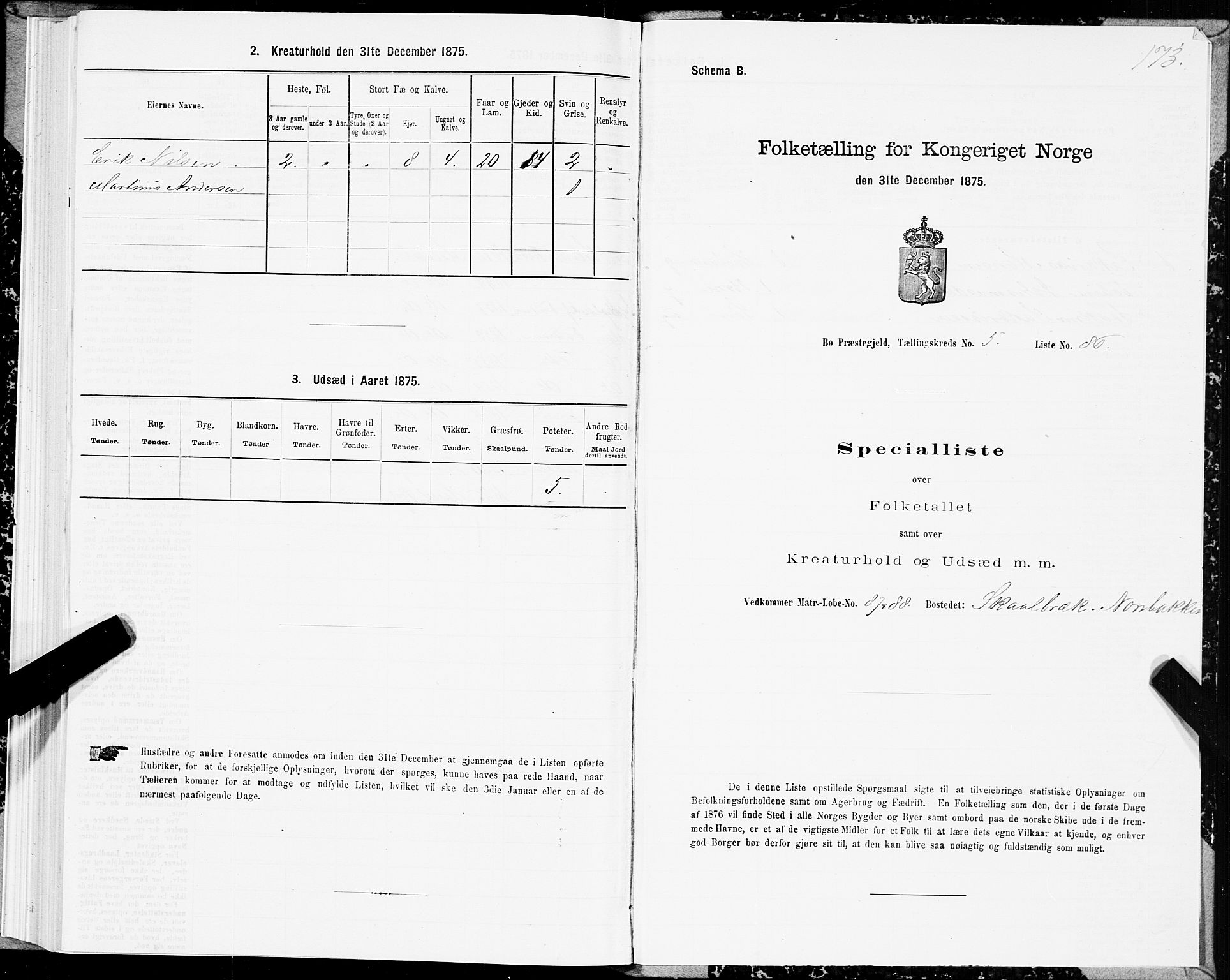 SAT, 1875 census for 1867P Bø, 1875, p. 3173