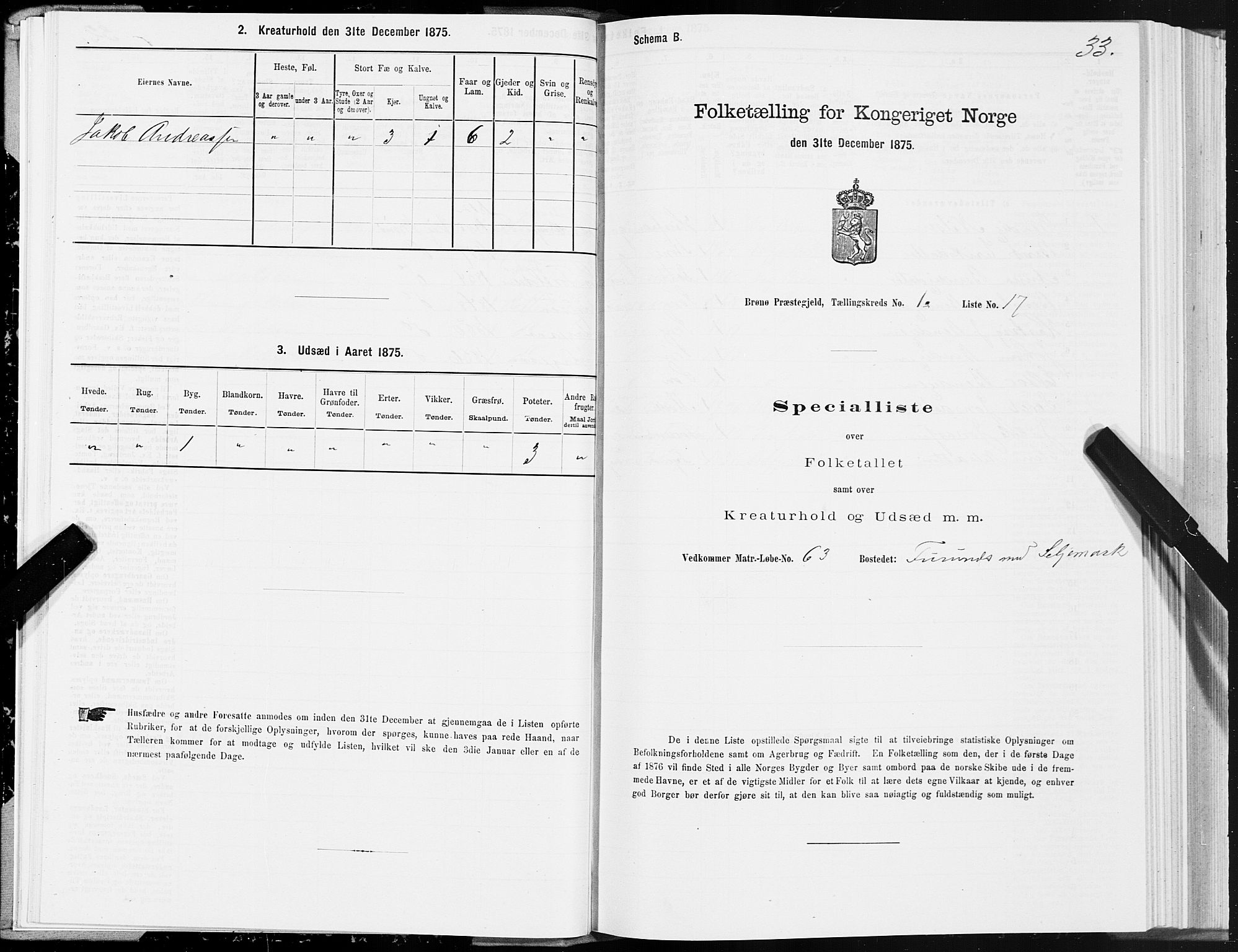 SAT, 1875 census for 1814P Brønnøy, 1875, p. 1033