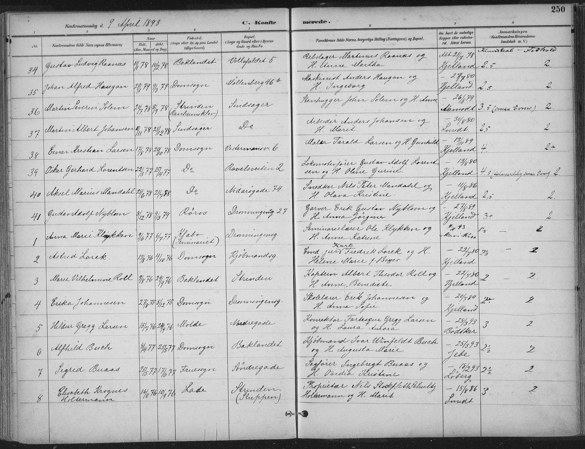 Ministerialprotokoller, klokkerbøker og fødselsregistre - Sør-Trøndelag, AV/SAT-A-1456/601/L0062: Parish register (official) no. 601A30, 1891-1911, p. 250